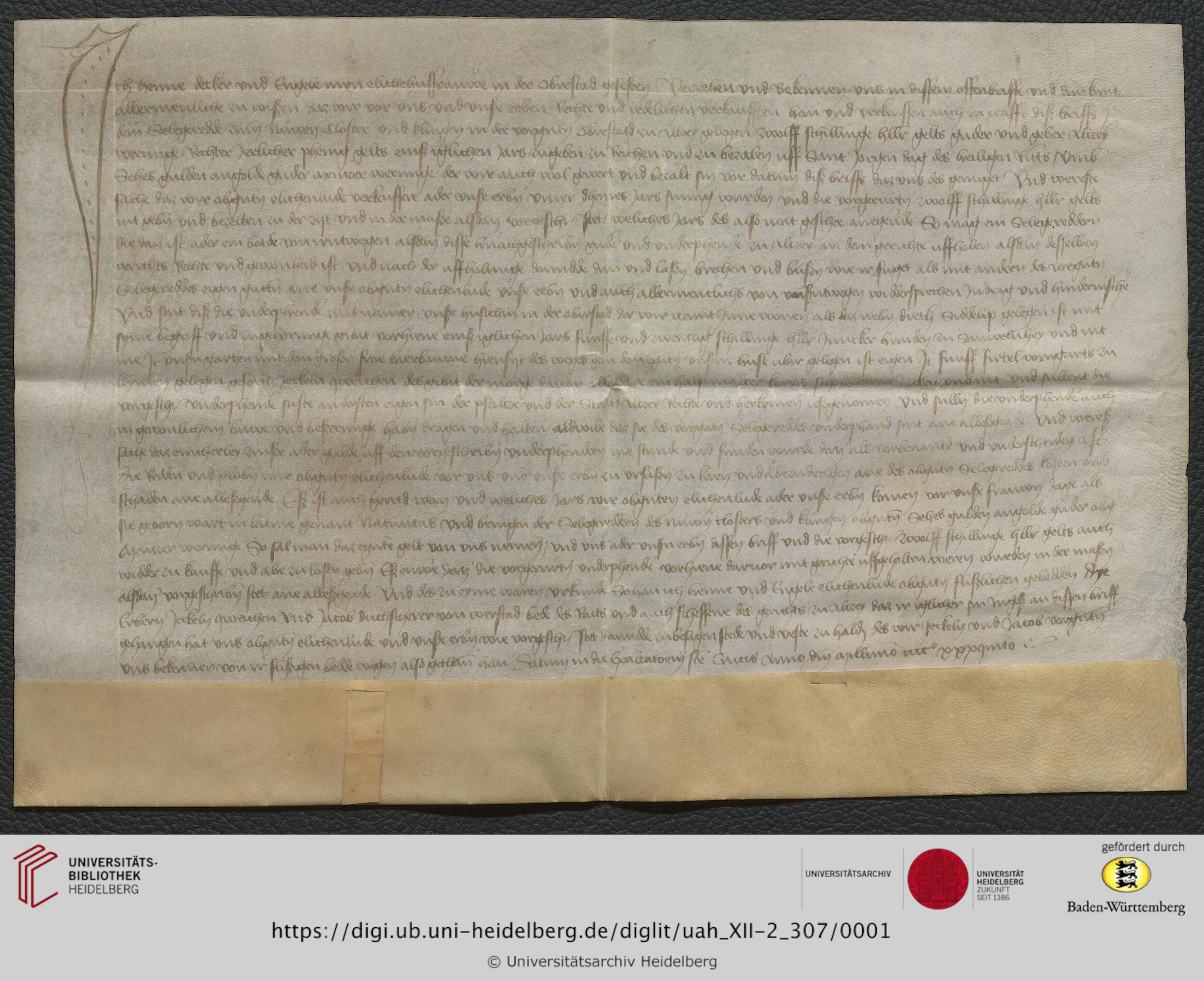 https://digi.ub.uni-heidelberg.de/diglitData/image/uah_XII-2_307/3/uah_xii-2_307_c1.jpg