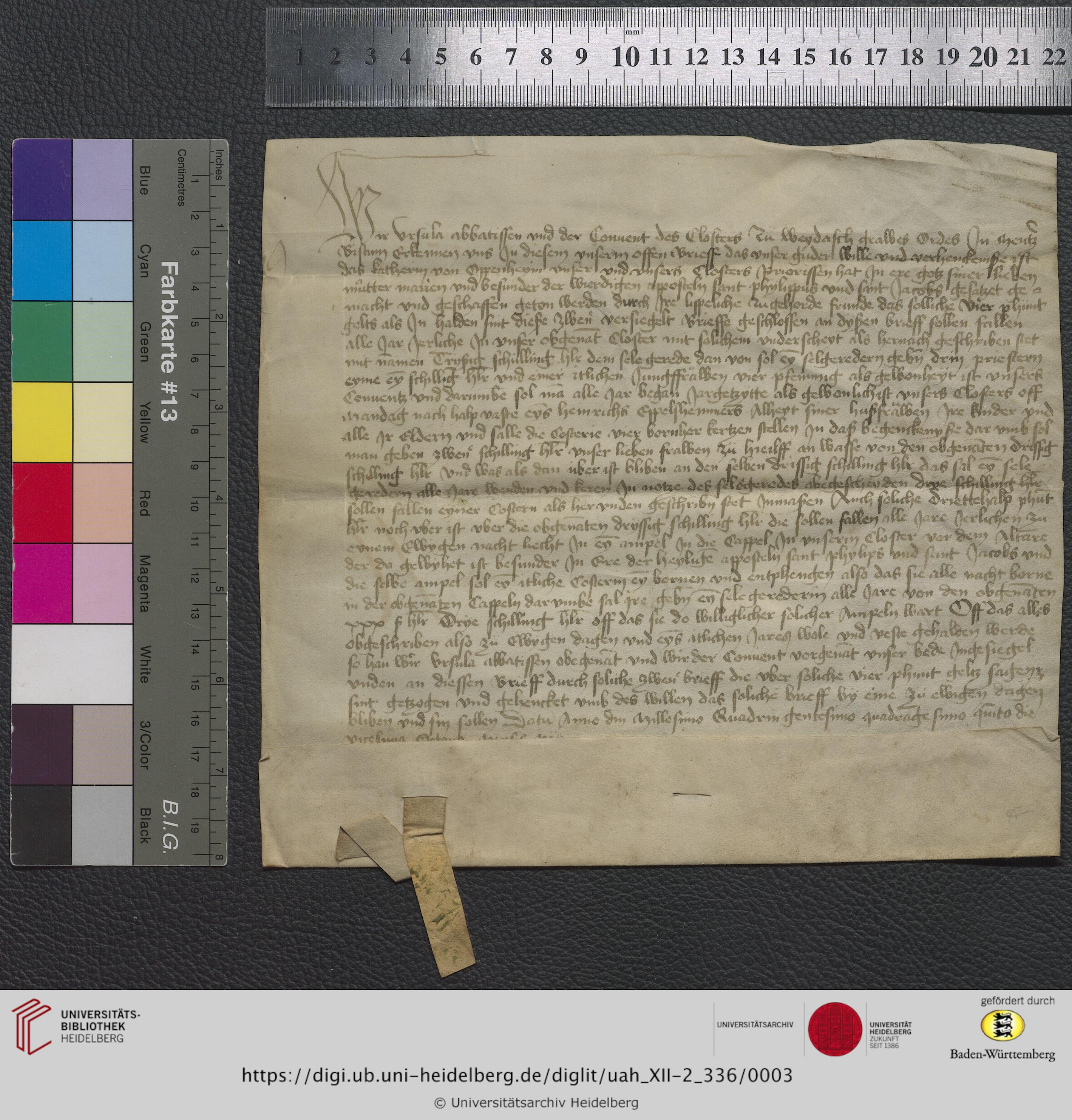 https://digi.ub.uni-heidelberg.de/diglitData/image/uah_XII-2_336/3/uah_xii-2_336_z1.jpg