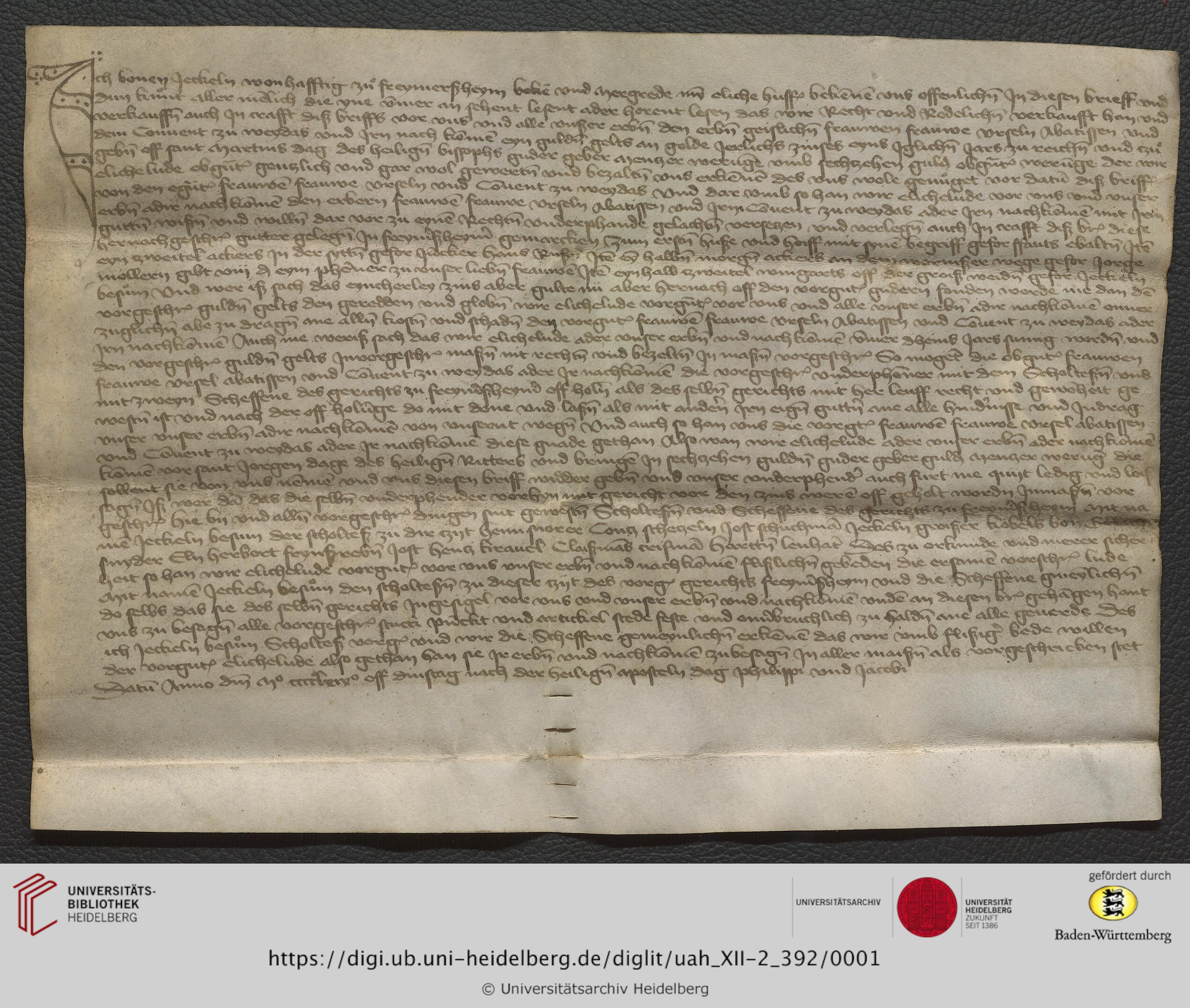 https://digi.ub.uni-heidelberg.de/diglitData/image/uah_XII-2_392/3/uah_xii-2_392_c1.jpg