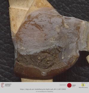 https://digi.ub.uni-heidelberg.de/diglitData/image/uah_XII-2_467/3/uah_xii-2_467_e1.jpg
