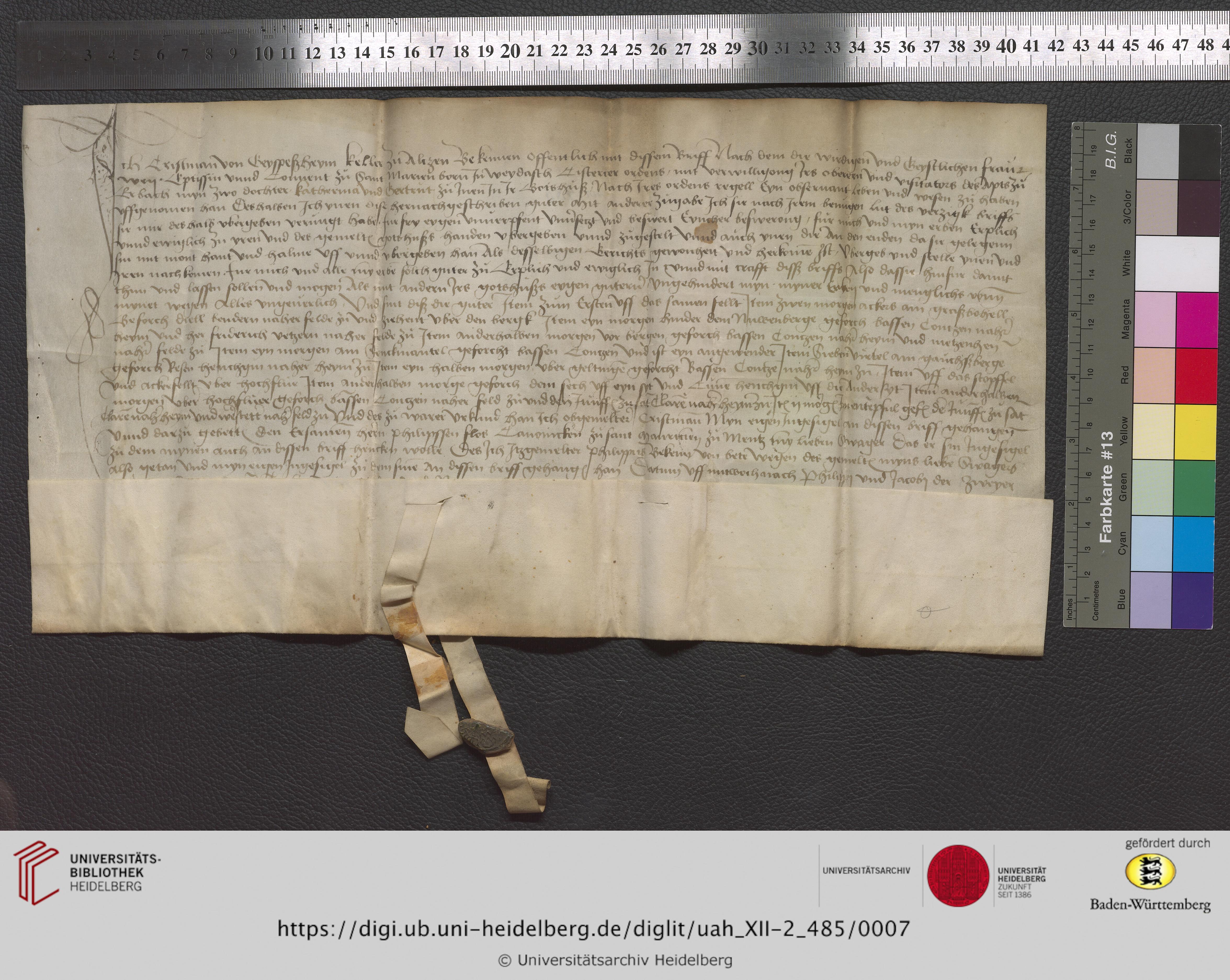 https://digi.ub.uni-heidelberg.de/diglitData/image/uah_XII-2_485/3/uah_xii-2_485_z1.jpg