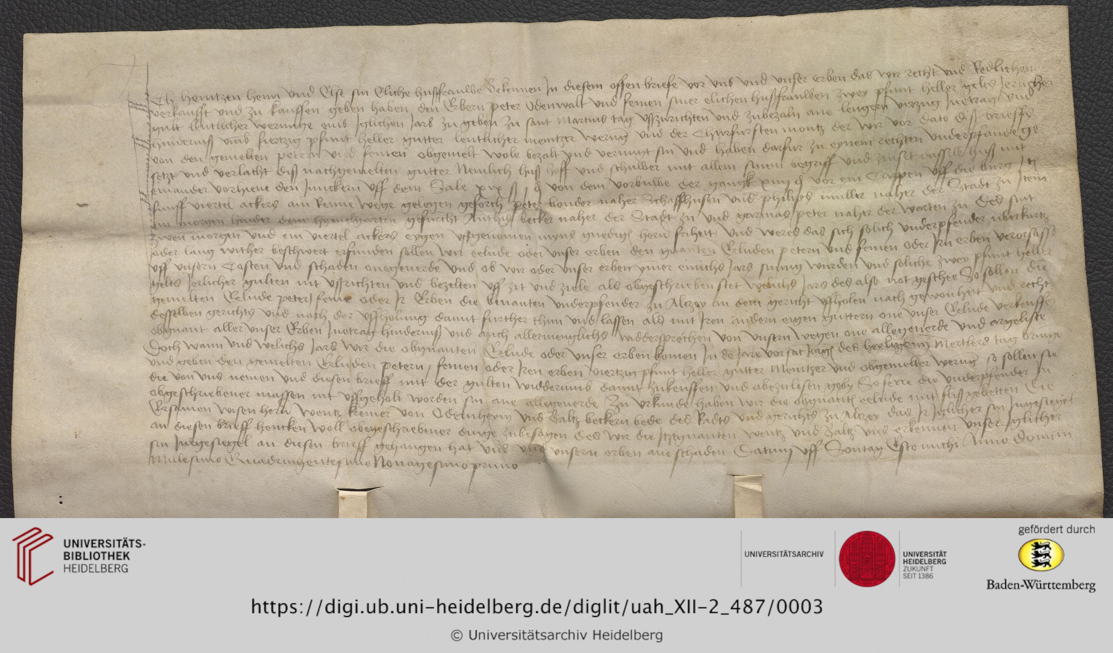 https://digi.ub.uni-heidelberg.de/diglitData/image/uah_XII-2_487/3/uah_xii-2_487_c1.jpg