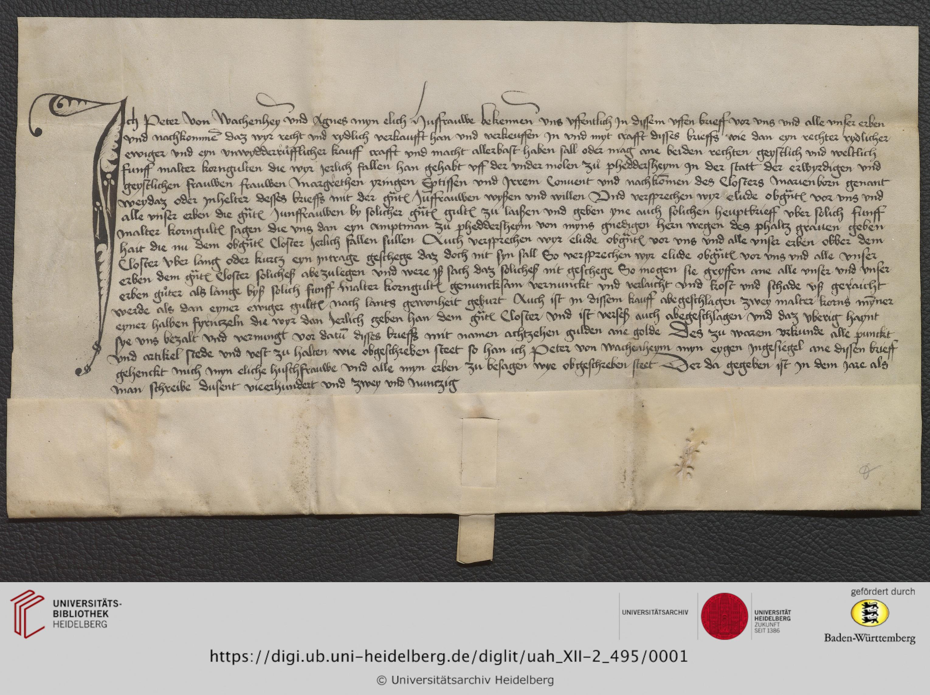 https://digi.ub.uni-heidelberg.de/diglitData/image/uah_XII-2_495/3/uah_xii-2_495_c1.jpg