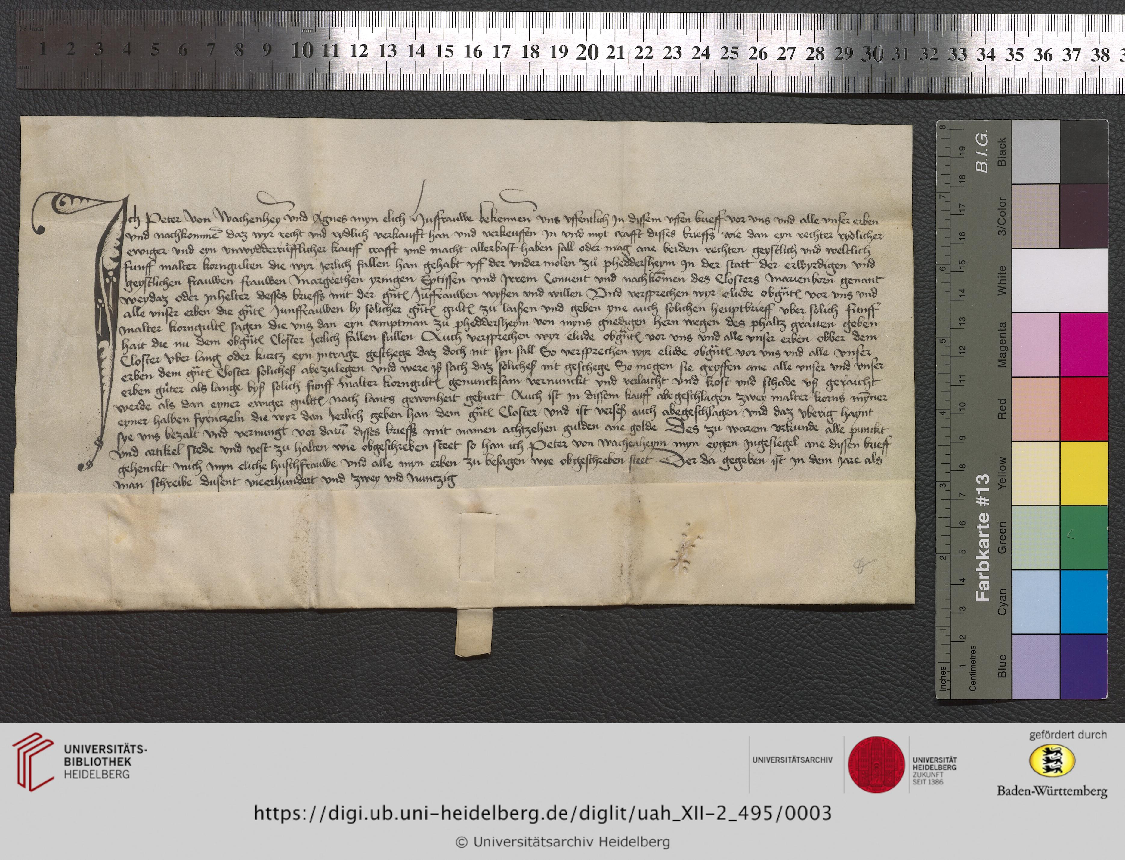 https://digi.ub.uni-heidelberg.de/diglitData/image/uah_XII-2_495/3/uah_xii-2_495_z1.jpg