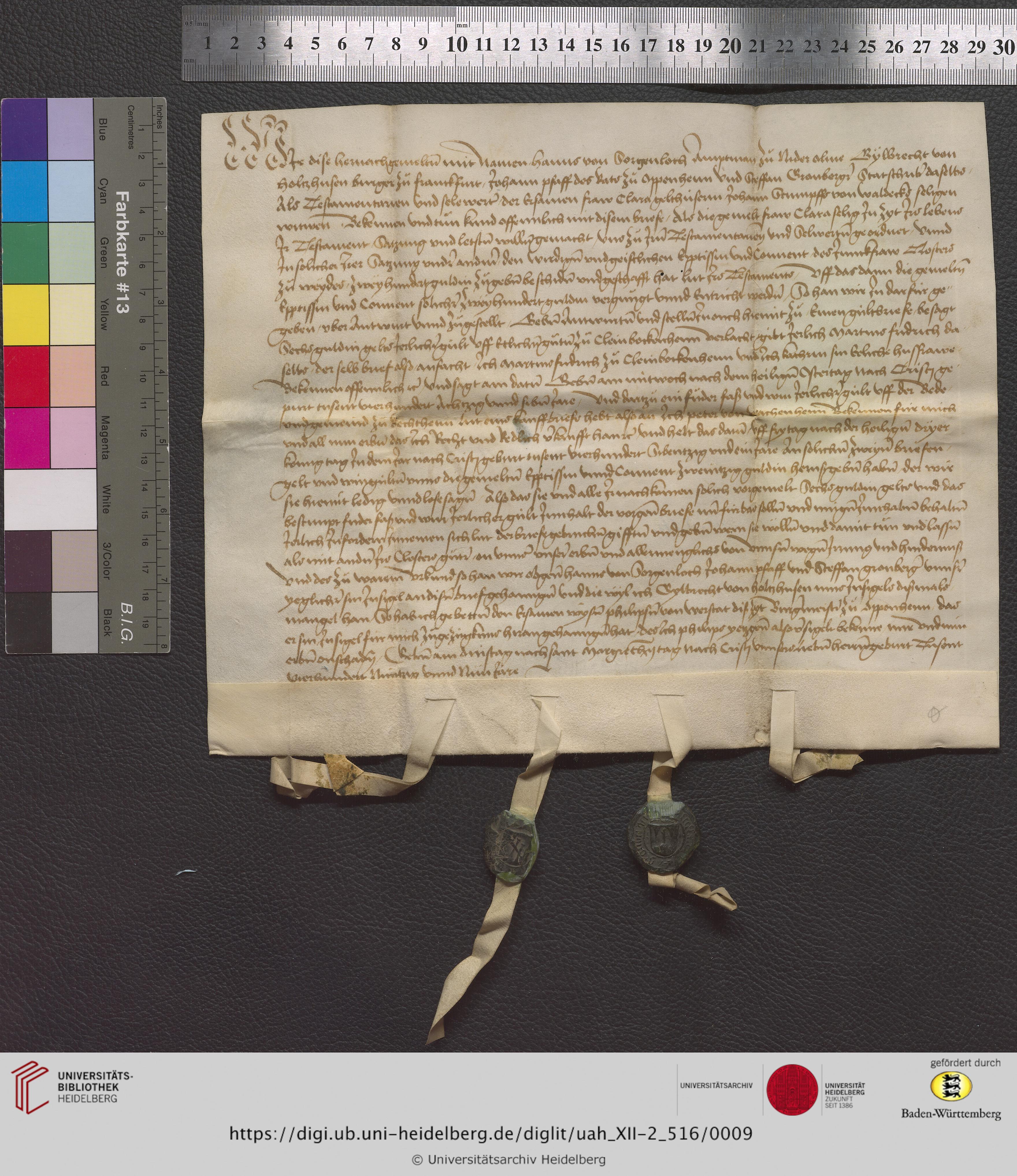 https://digi.ub.uni-heidelberg.de/diglitData/image/uah_XII-2_516/3/uah_xii-2_516_z1.jpg