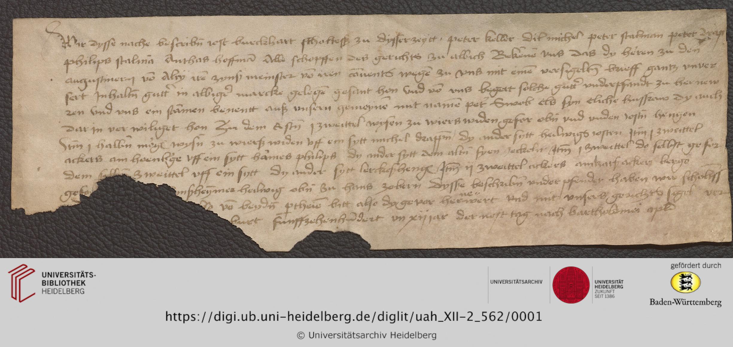 https://digi.ub.uni-heidelberg.de/diglitData/image/uah_XII-2_562/3/uah_xii-2_562_c1.jpg