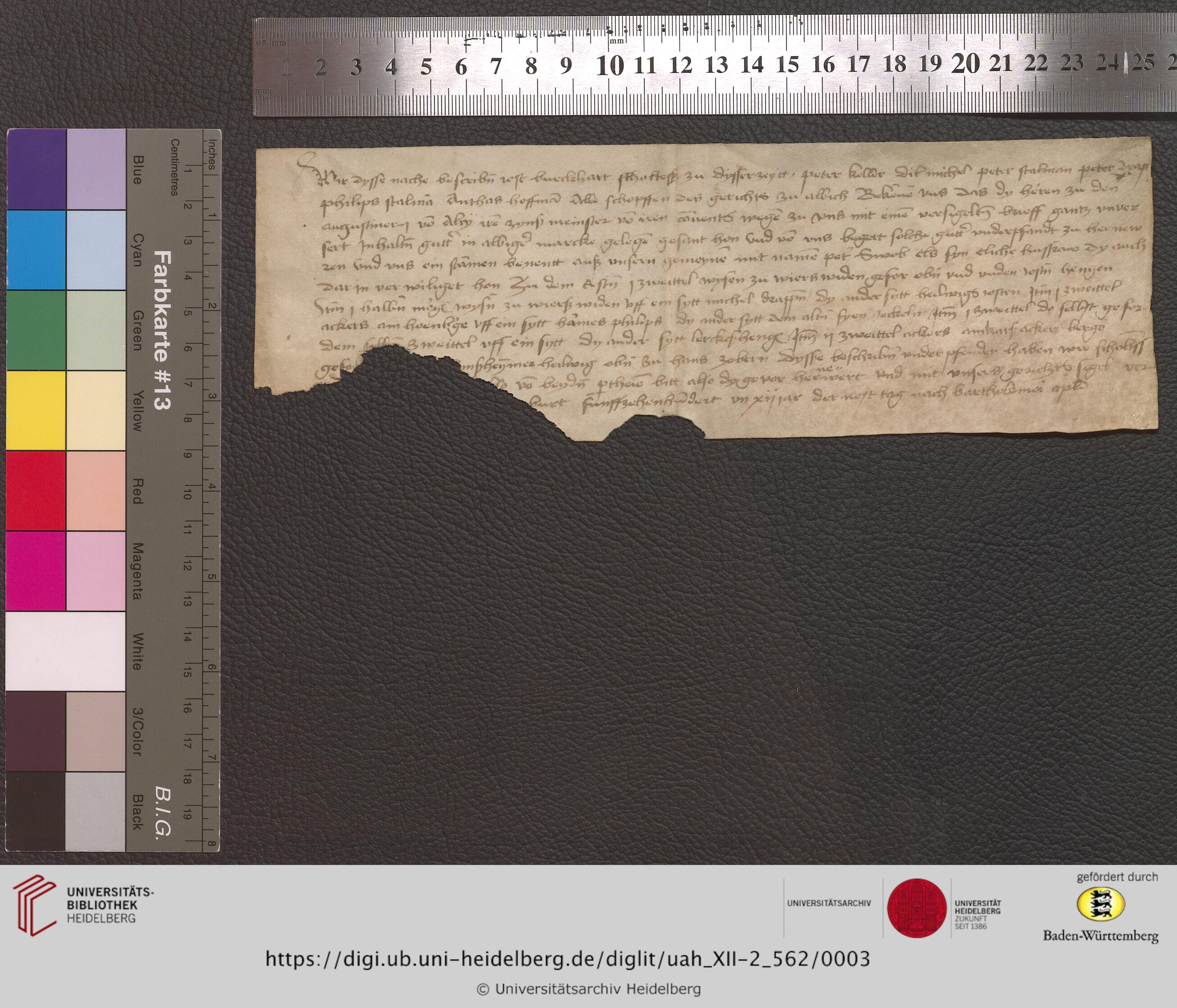 https://digi.ub.uni-heidelberg.de/diglitData/image/uah_XII-2_562/3/uah_xii-2_562_z1.jpg