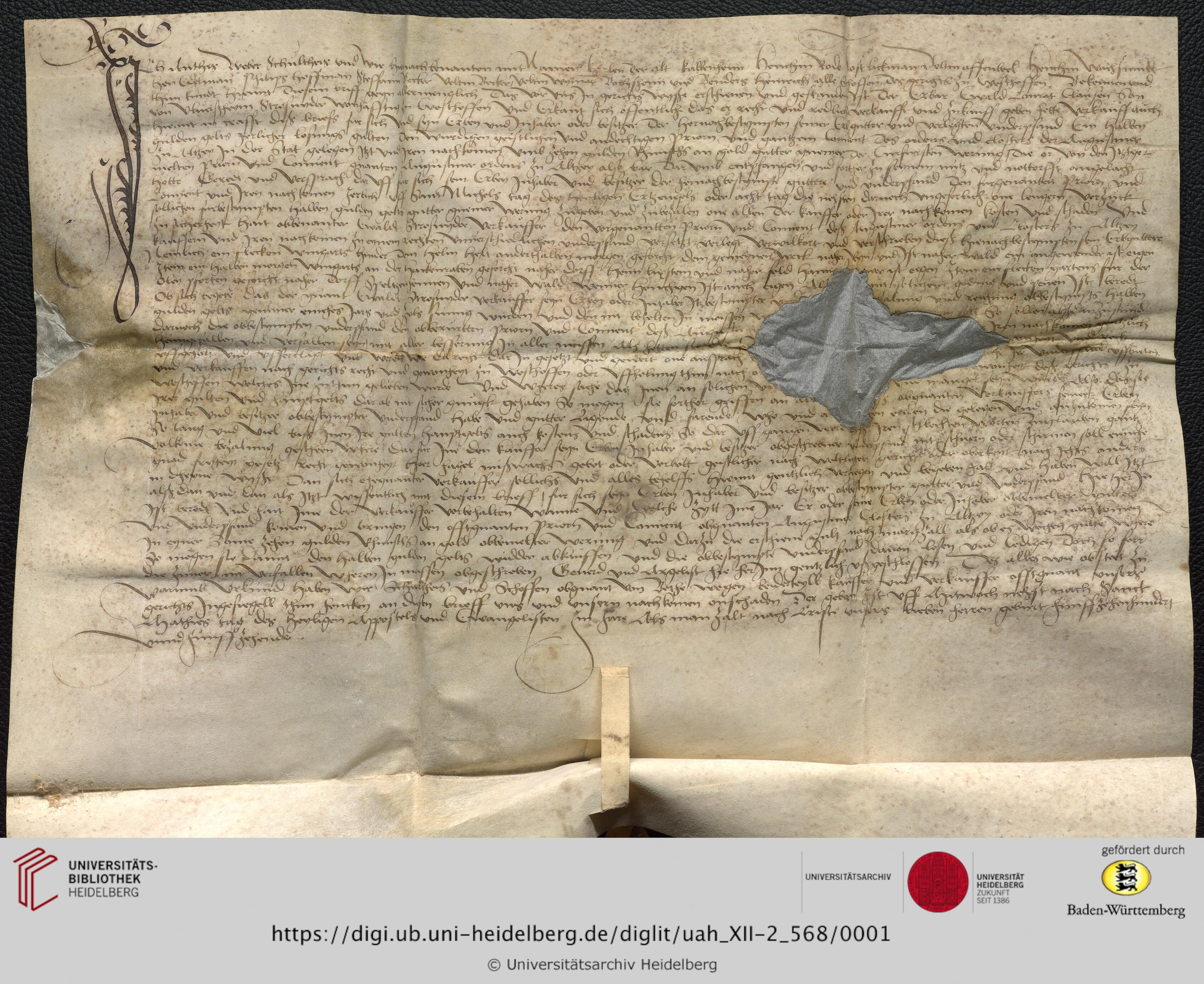 https://digi.ub.uni-heidelberg.de/diglitData/image/uah_XII-2_568/3/uah_xii-2_568_c1.jpg