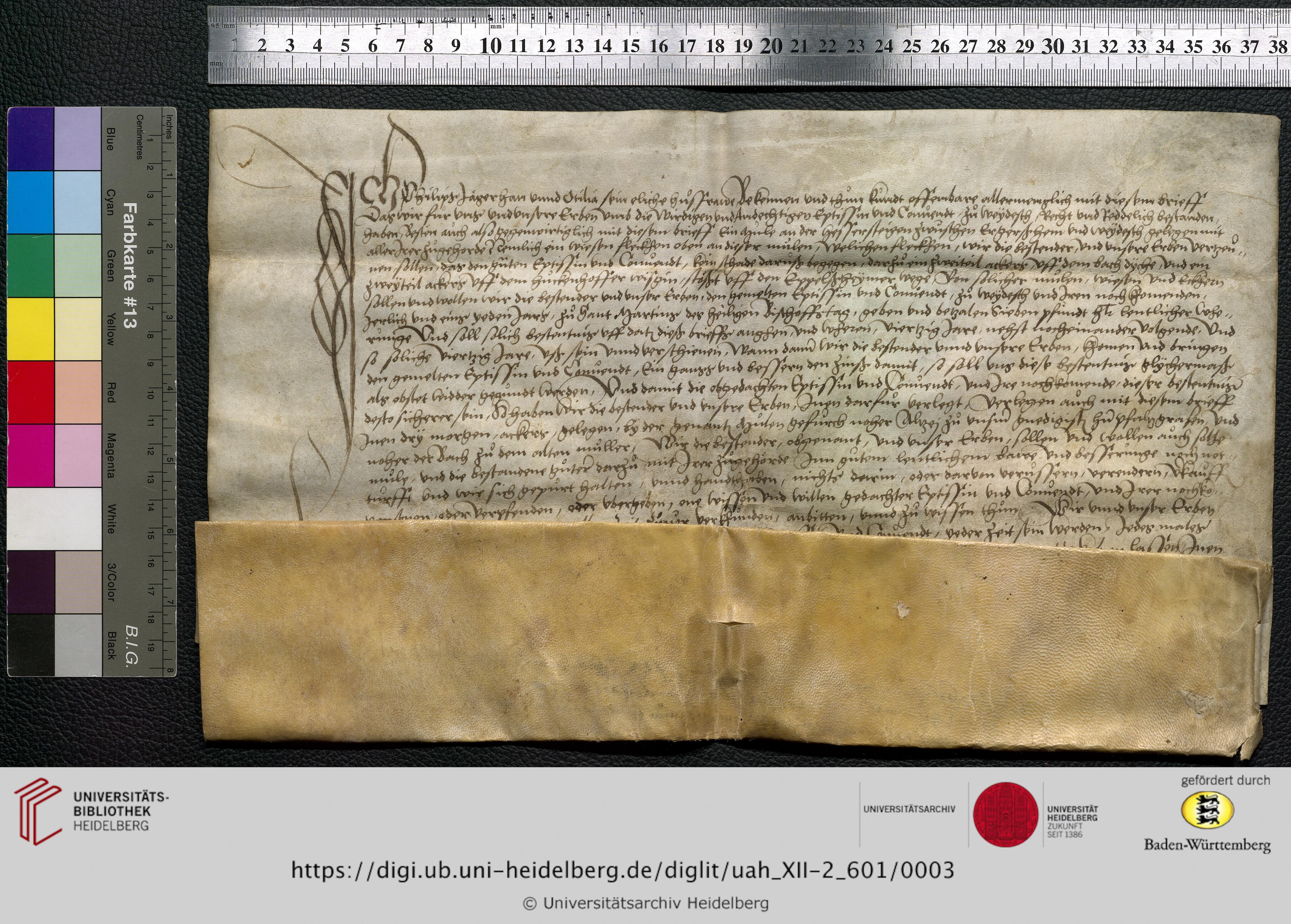 https://digi.ub.uni-heidelberg.de/diglitData/image/uah_XII-2_601/3/uah_xii-2_601_z1.jpg