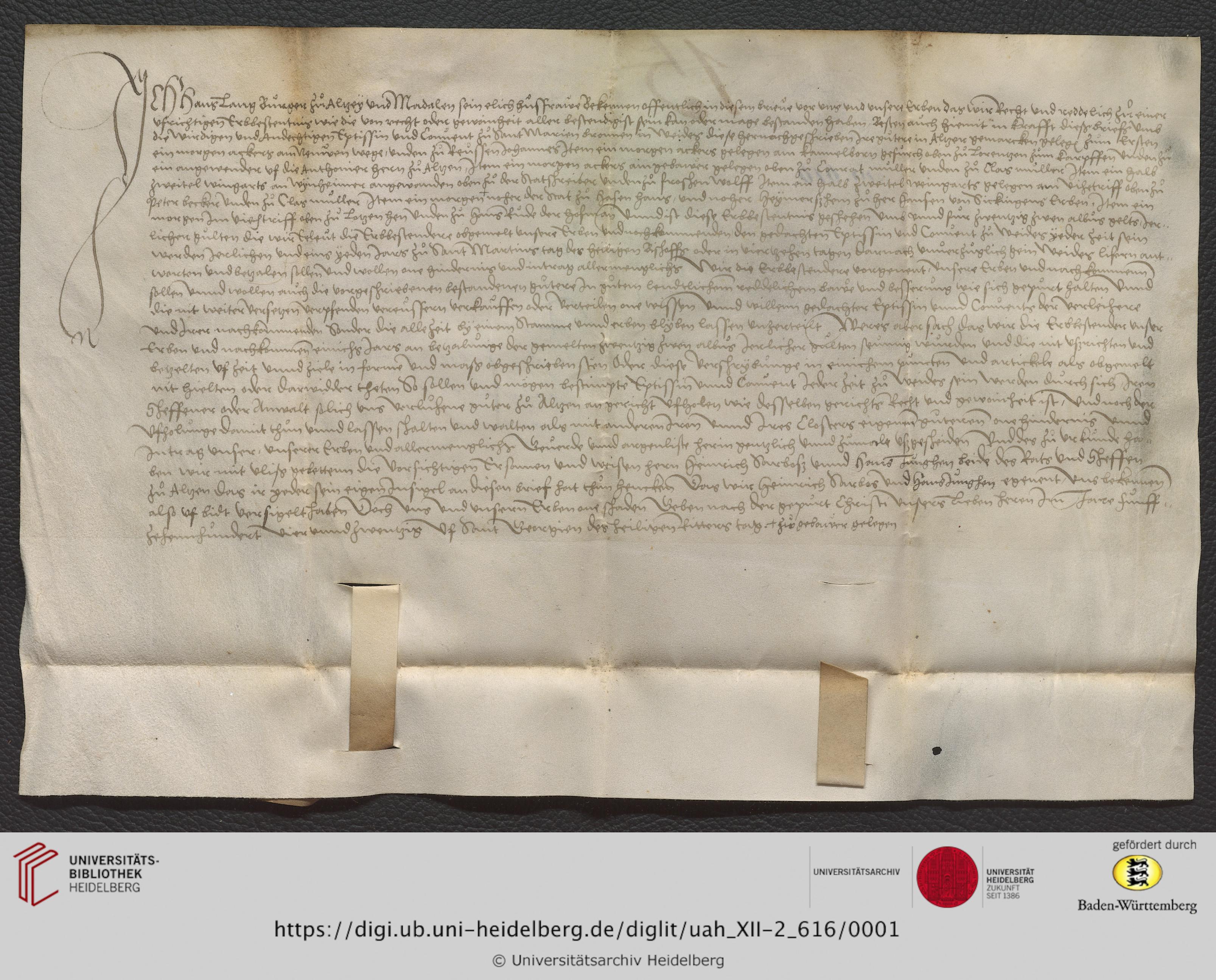 https://digi.ub.uni-heidelberg.de/diglitData/image/uah_XII-2_616/3/uah_xii-2_616_c1.jpg