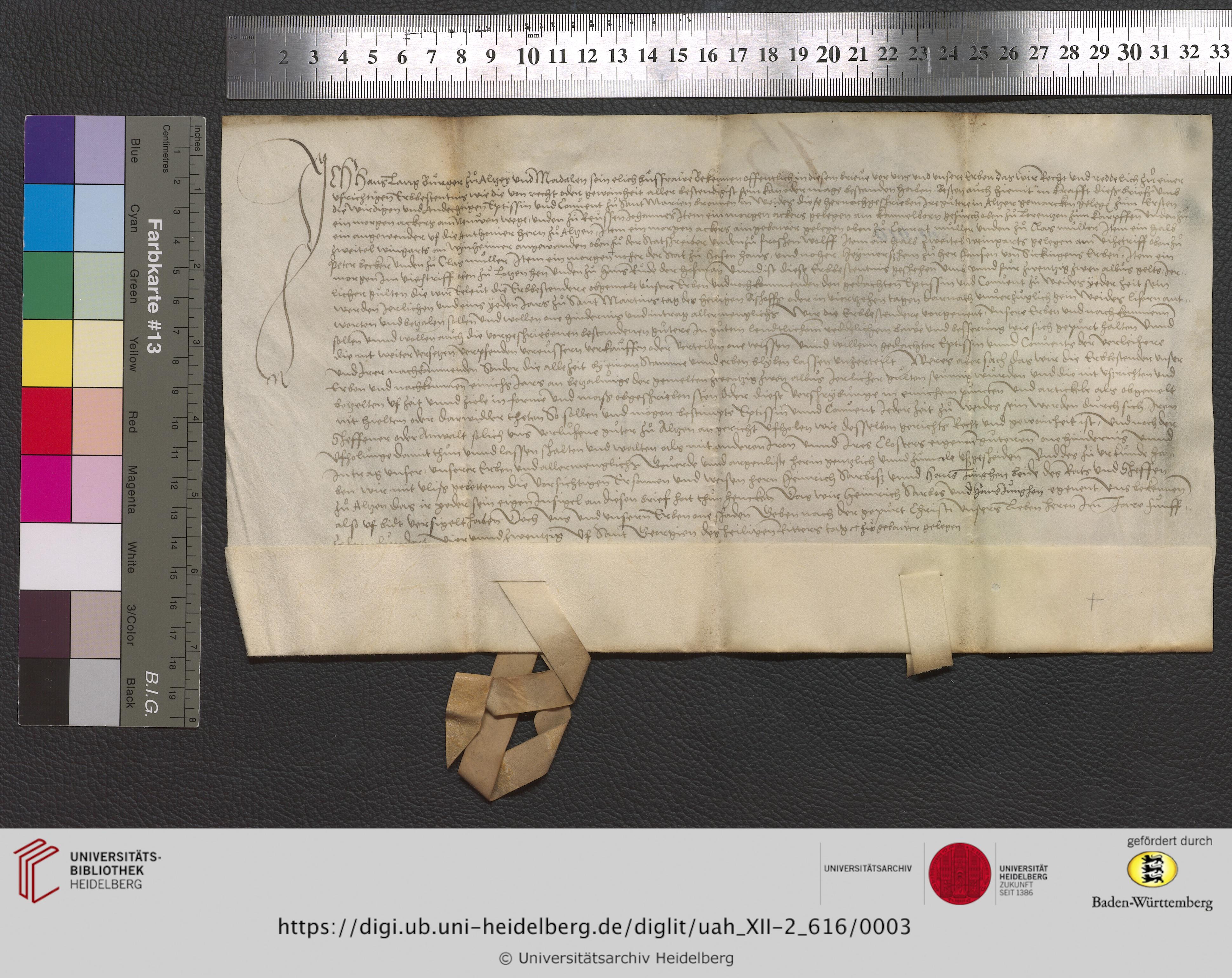 https://digi.ub.uni-heidelberg.de/diglitData/image/uah_XII-2_616/3/uah_xii-2_616_z1.jpg