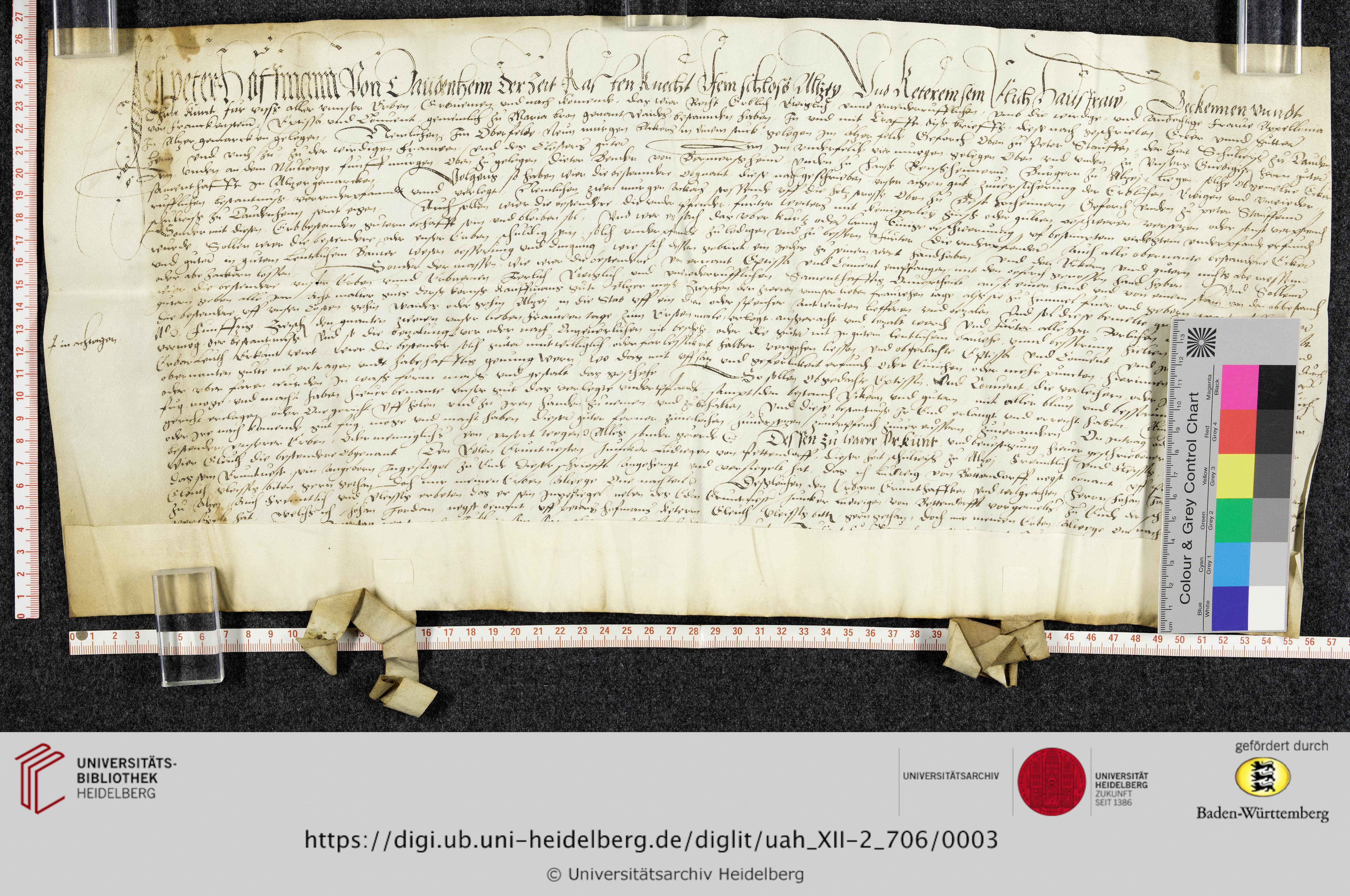 https://digi.ub.uni-heidelberg.de/diglitData/image/uah_XII-2_706/3/uah_xii-2_706_z1.jpg