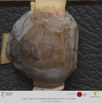 https://digi.ub.uni-heidelberg.de/diglitData/image/uah_XII-2_773/3/uah_xii-2_773_f1.jpg