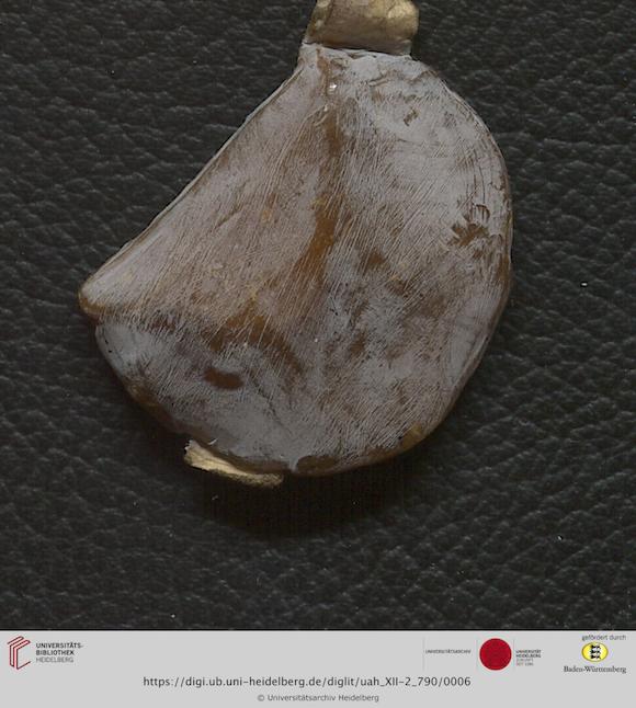 https://digi.ub.uni-heidelberg.de/diglitData/image/uah_XII-2_790/3/uah_xii-2_790_f1.jpg