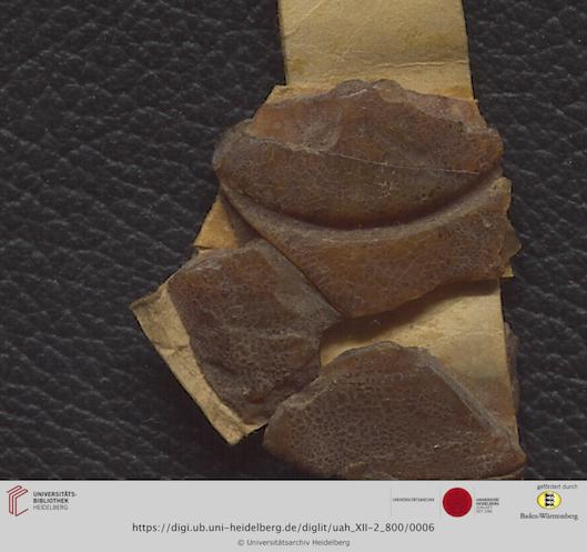 https://digi.ub.uni-heidelberg.de/diglitData/image/uah_XII-2_800/3/uah_xii-2_800_f1.jpg