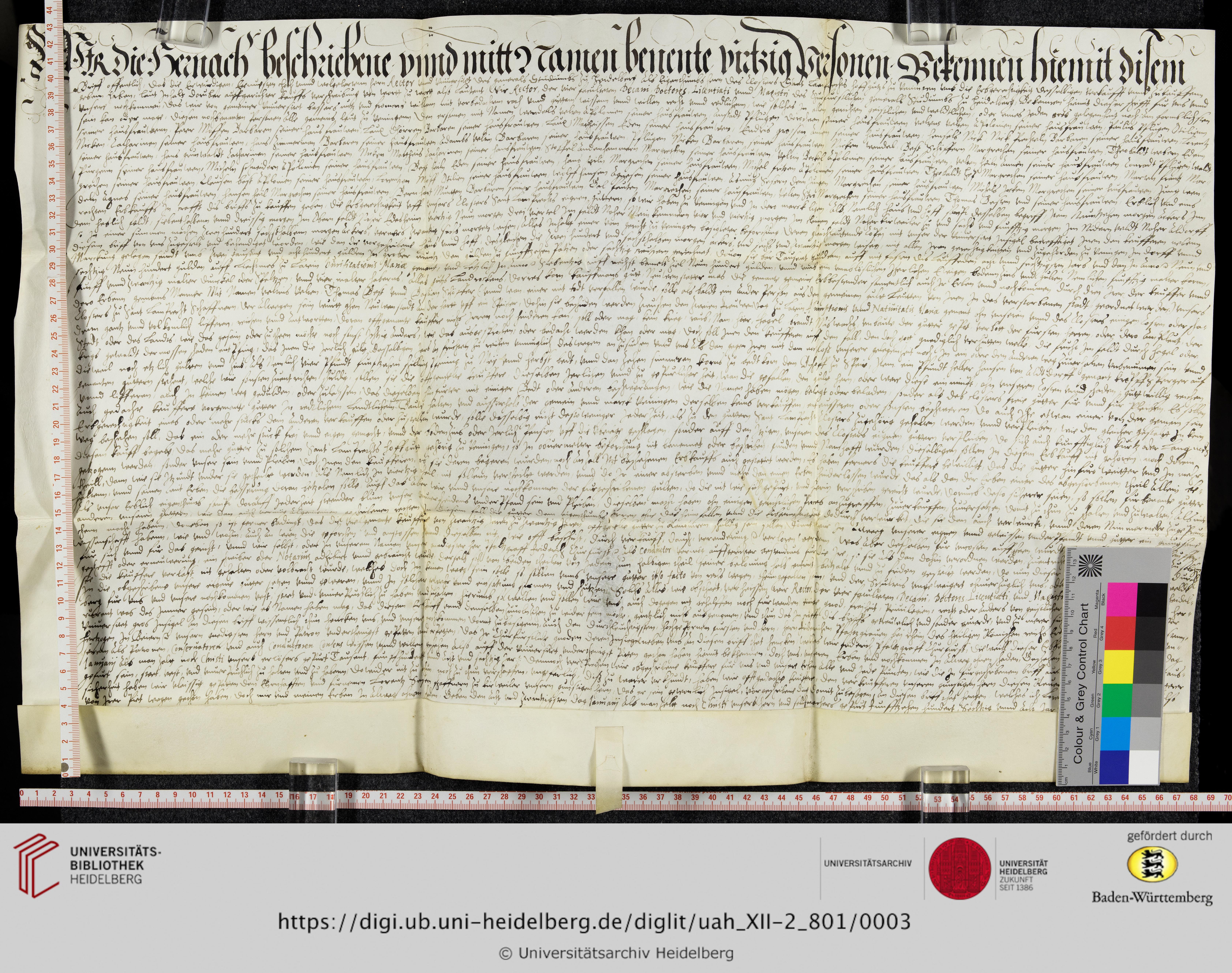 https://digi.ub.uni-heidelberg.de/diglitData/image/uah_XII-2_801/3/uah_xii-2_801_z1.jpg