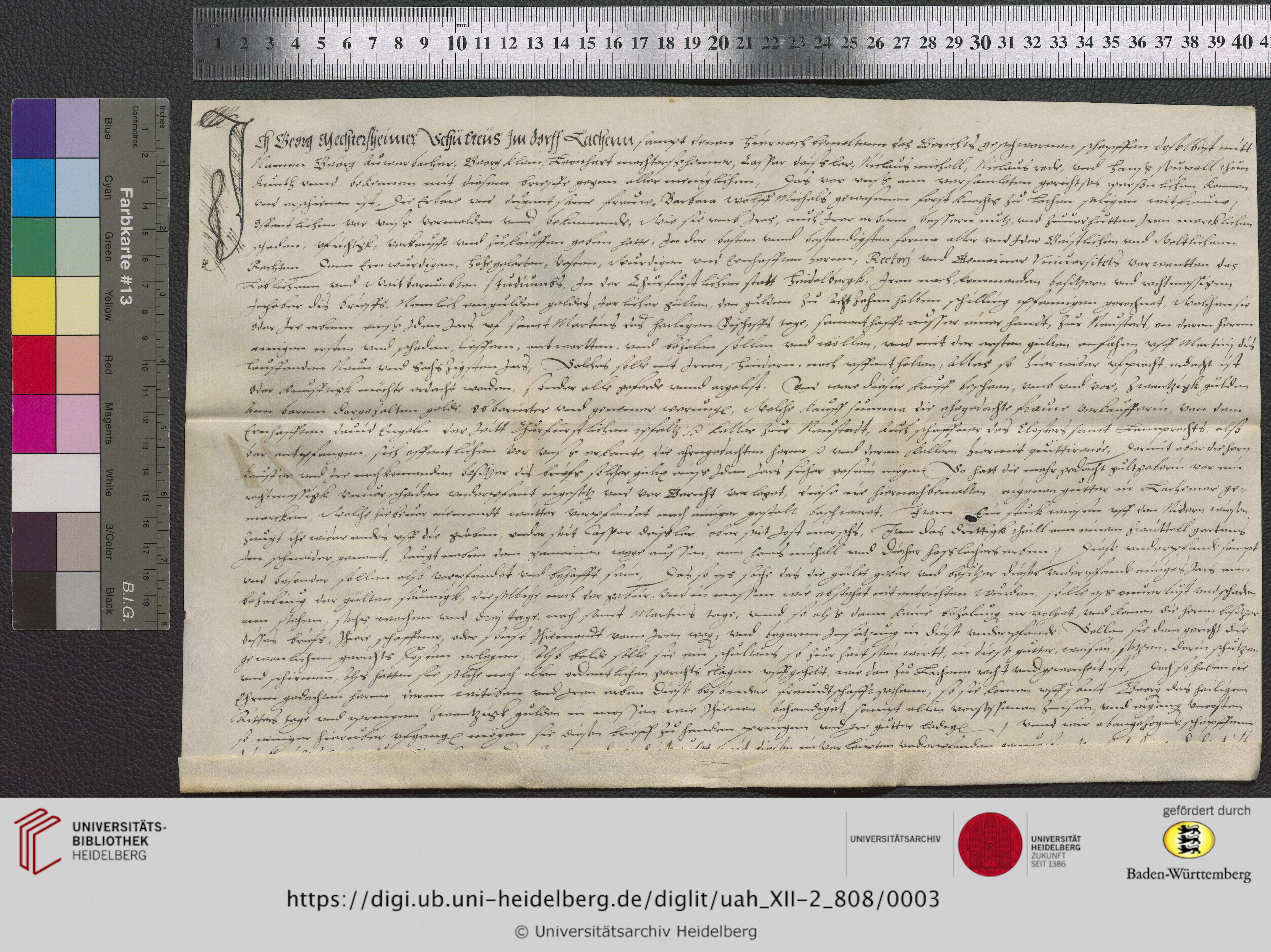 https://digi.ub.uni-heidelberg.de/diglitData/image/uah_XII-2_808/3/uah_xii-2_808_z1.jpg