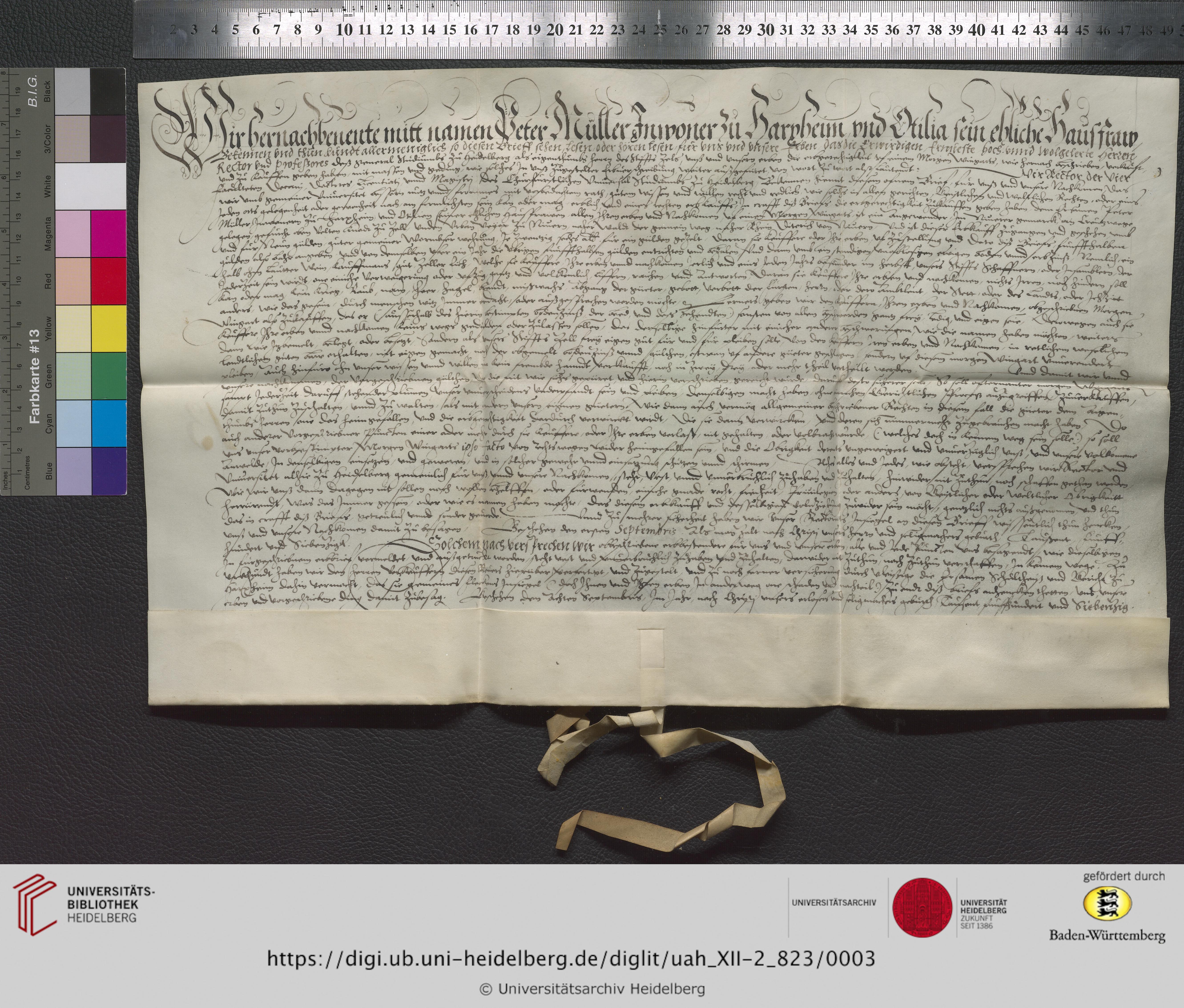 https://digi.ub.uni-heidelberg.de/diglitData/image/uah_XII-2_823/3/uah_xii-2_823_z1.jpg