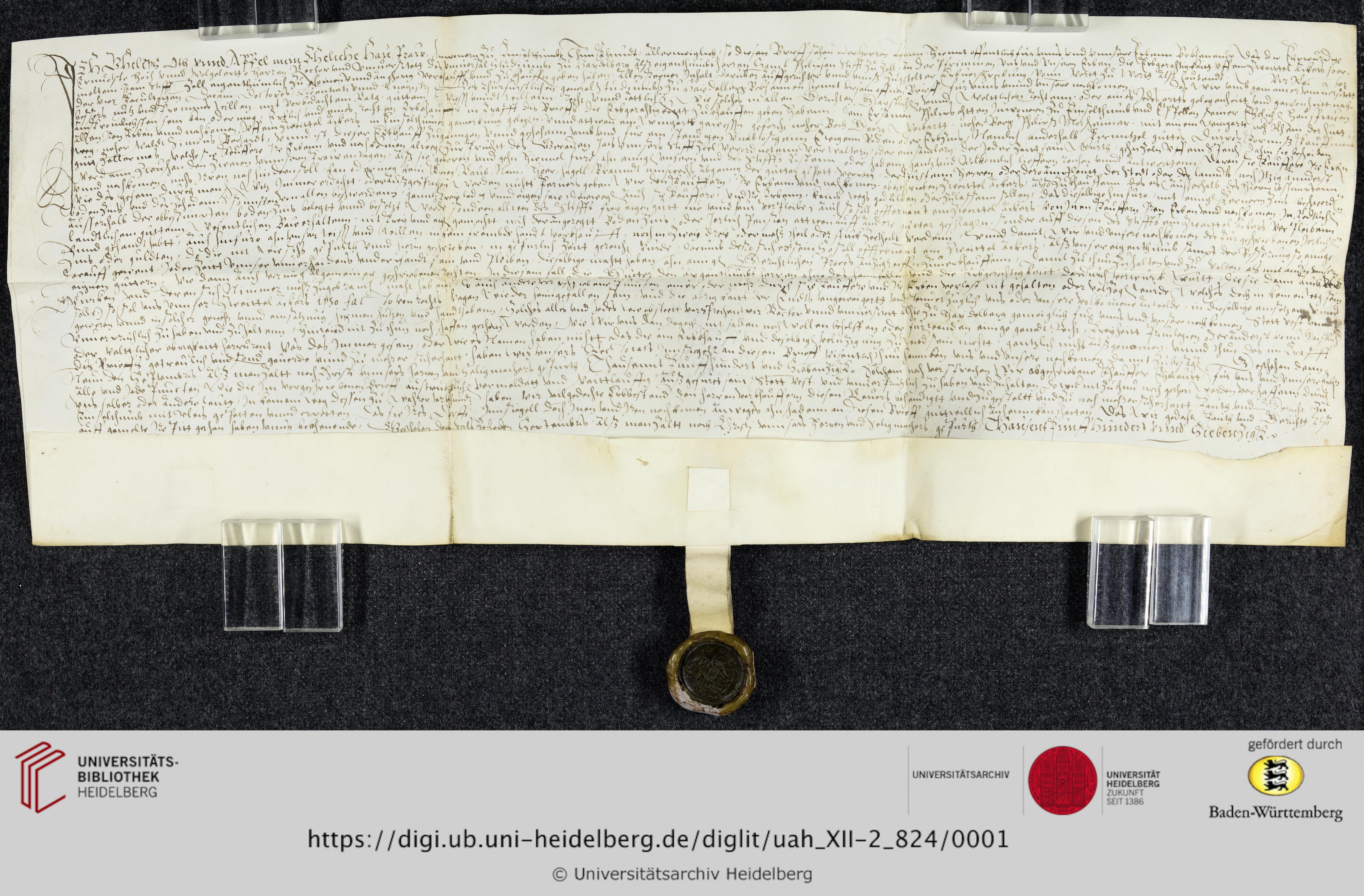 https://digi.ub.uni-heidelberg.de/diglitData/image/uah_XII-2_824/3/uah_xii-2_824_a1.jpg