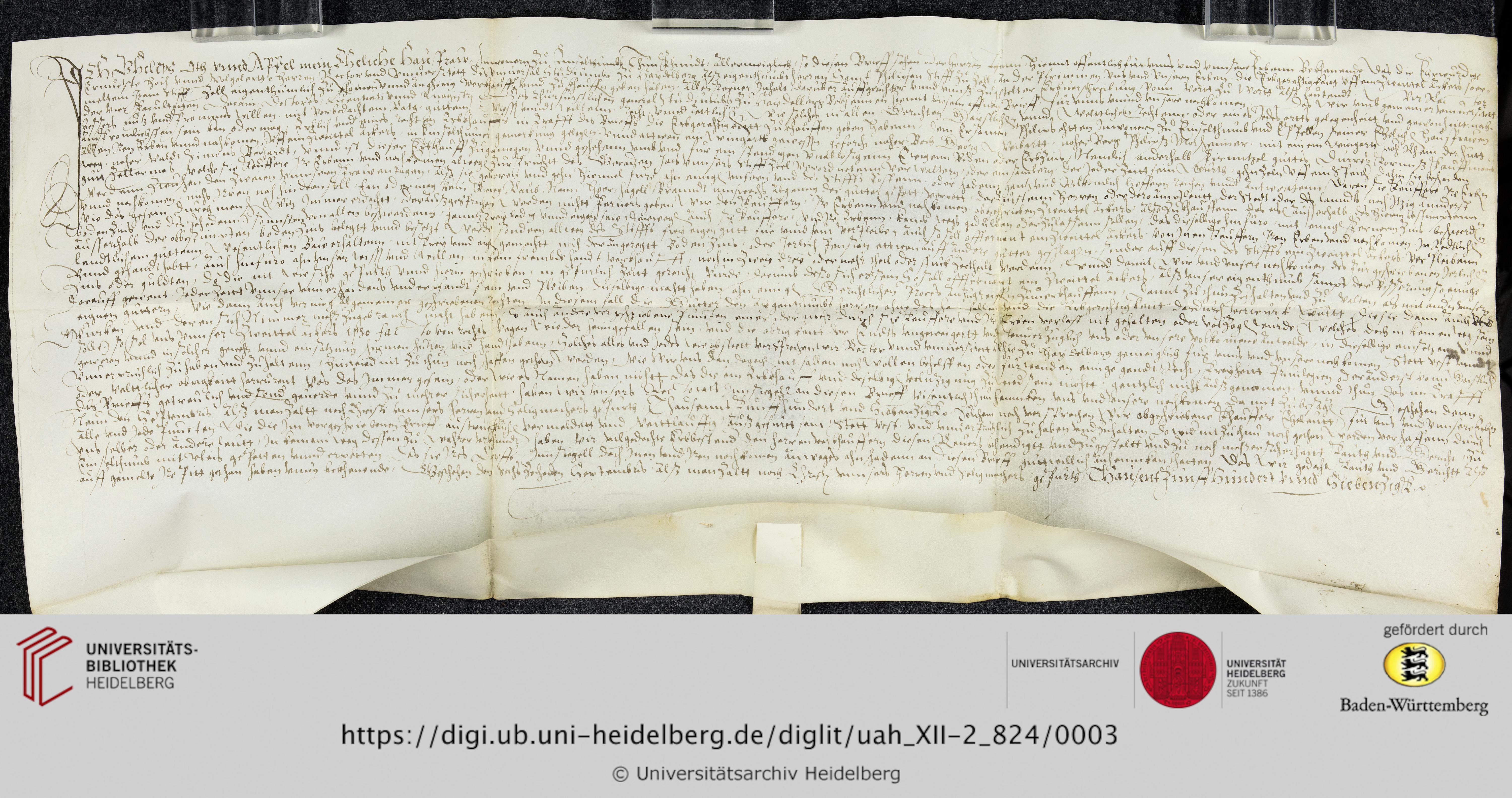 https://digi.ub.uni-heidelberg.de/diglitData/image/uah_XII-2_824/3/uah_xii-2_824_c1.jpg
