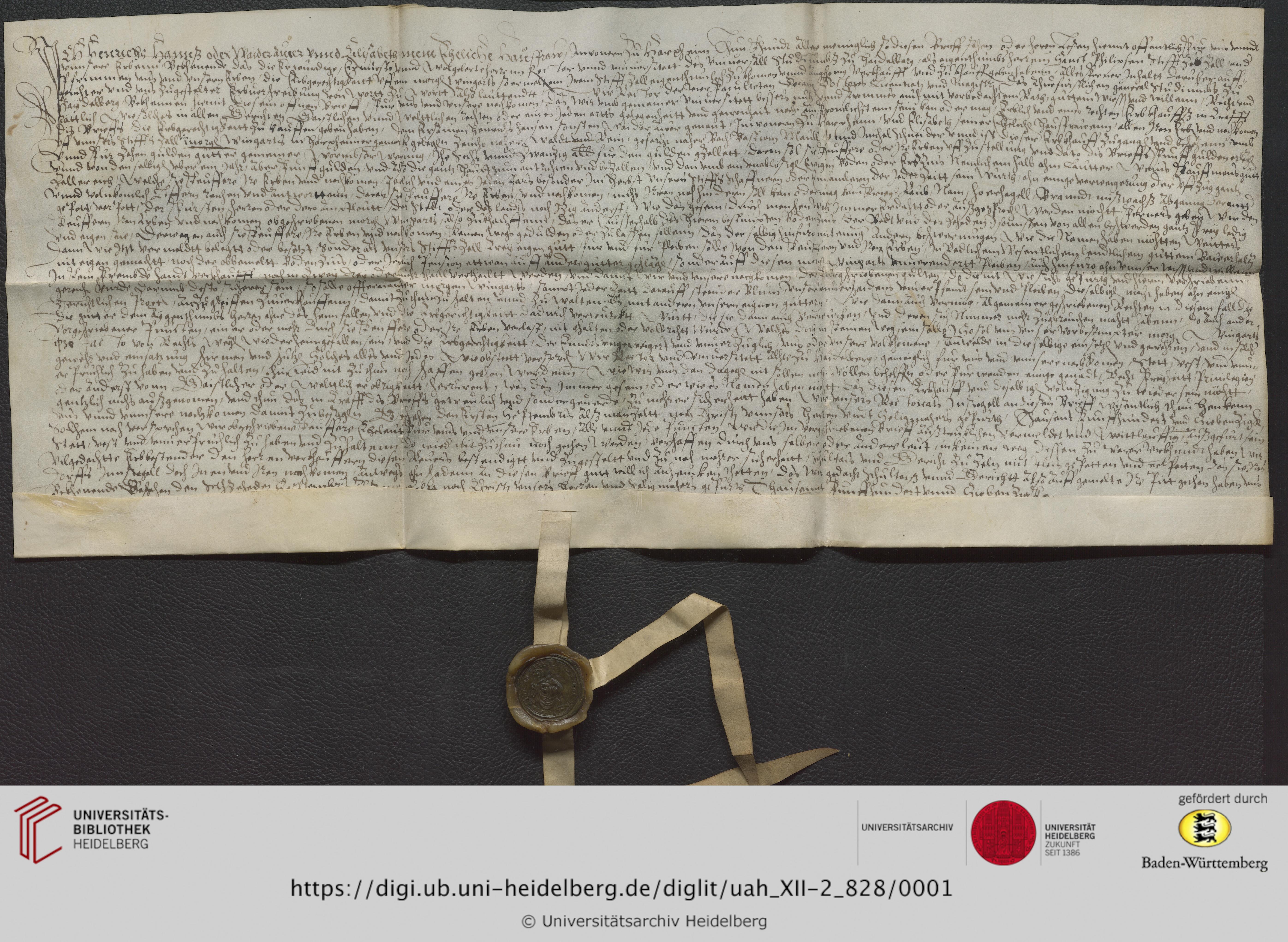 https://digi.ub.uni-heidelberg.de/diglitData/image/uah_XII-2_828/3/uah_xii-2_828_a1.jpg