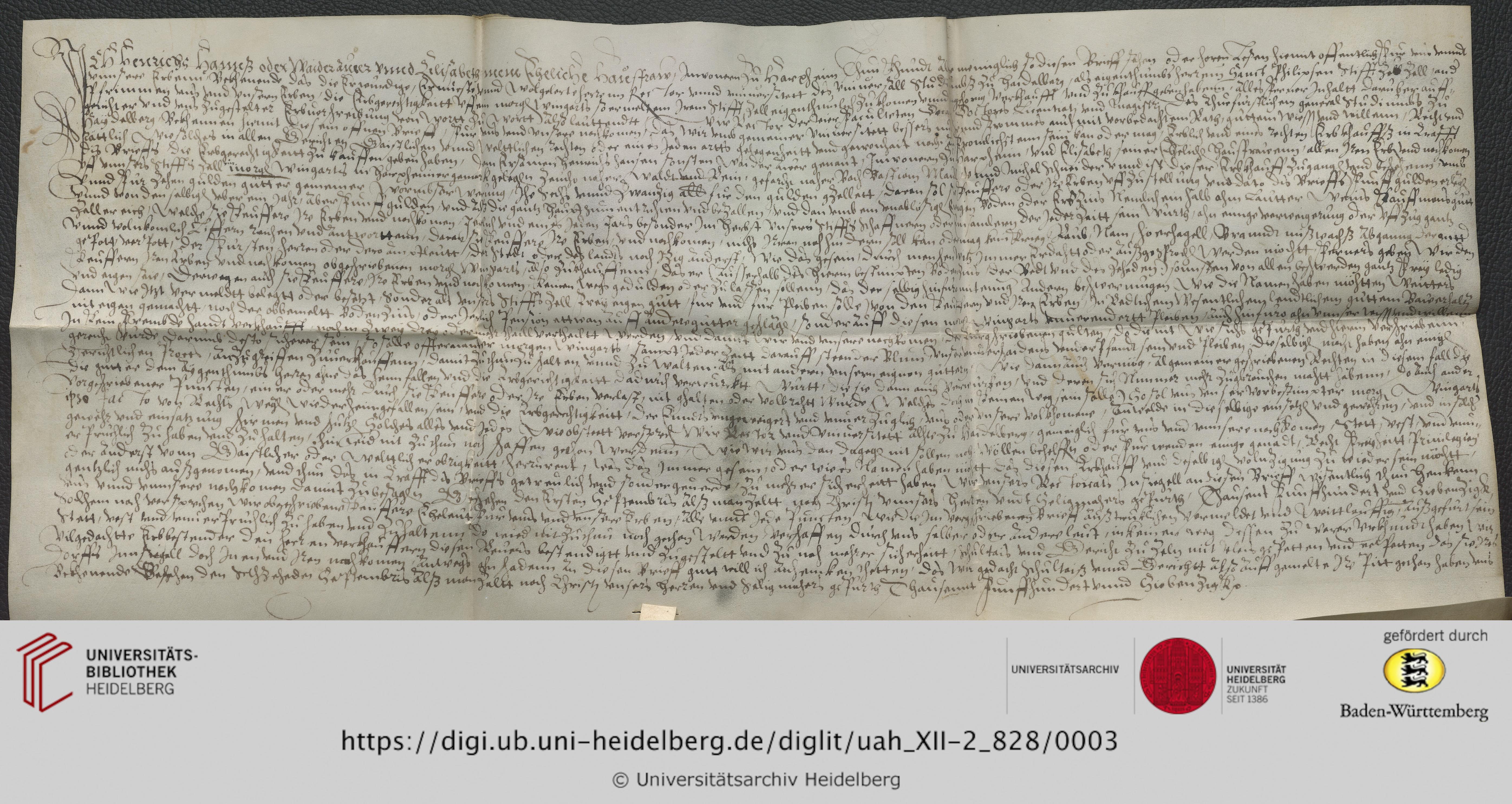 https://digi.ub.uni-heidelberg.de/diglitData/image/uah_XII-2_828/3/uah_xii-2_828_c1.jpg