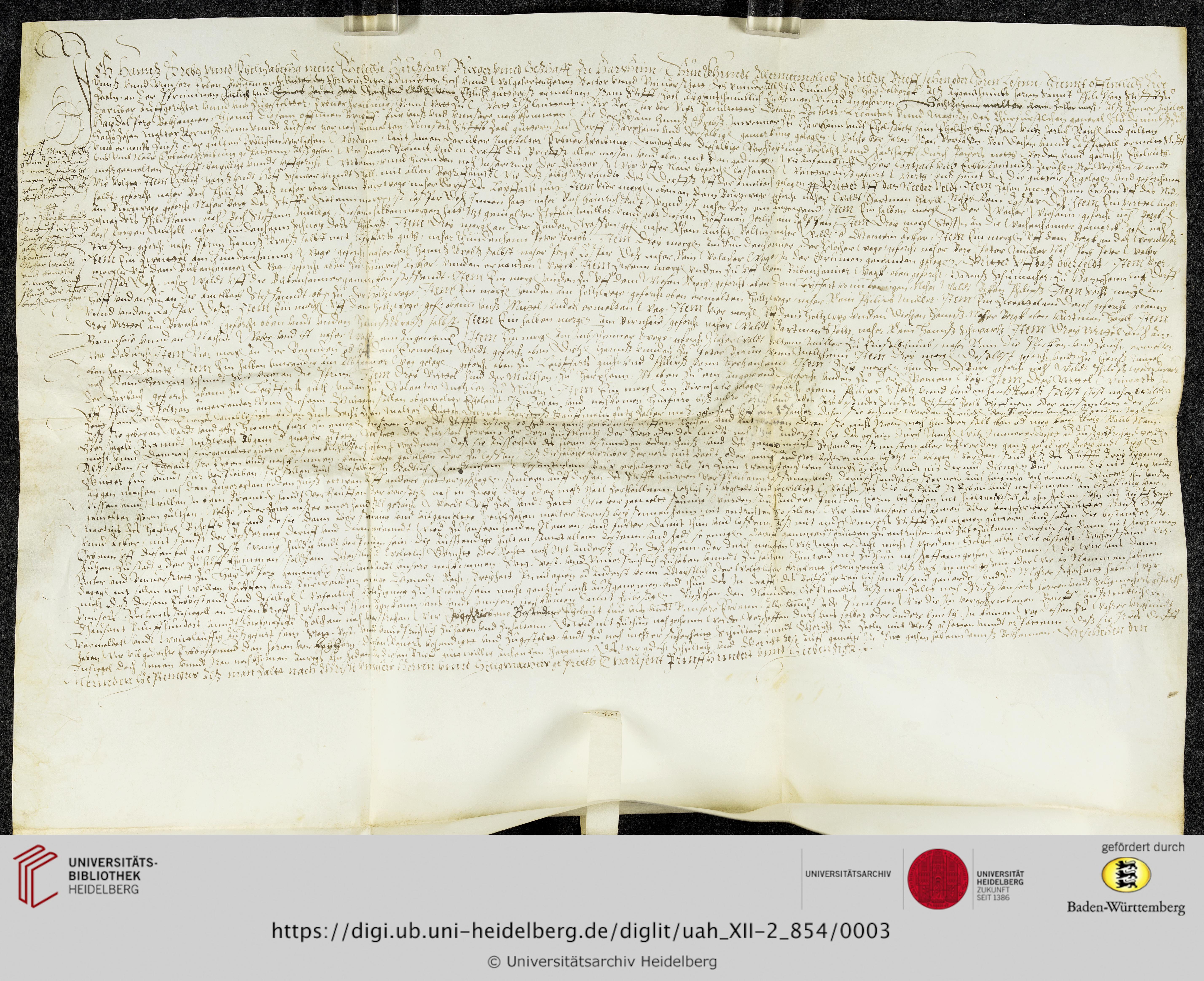 https://digi.ub.uni-heidelberg.de/diglitData/image/uah_XII-2_854/3/uah_xii-2_854_c1.jpg