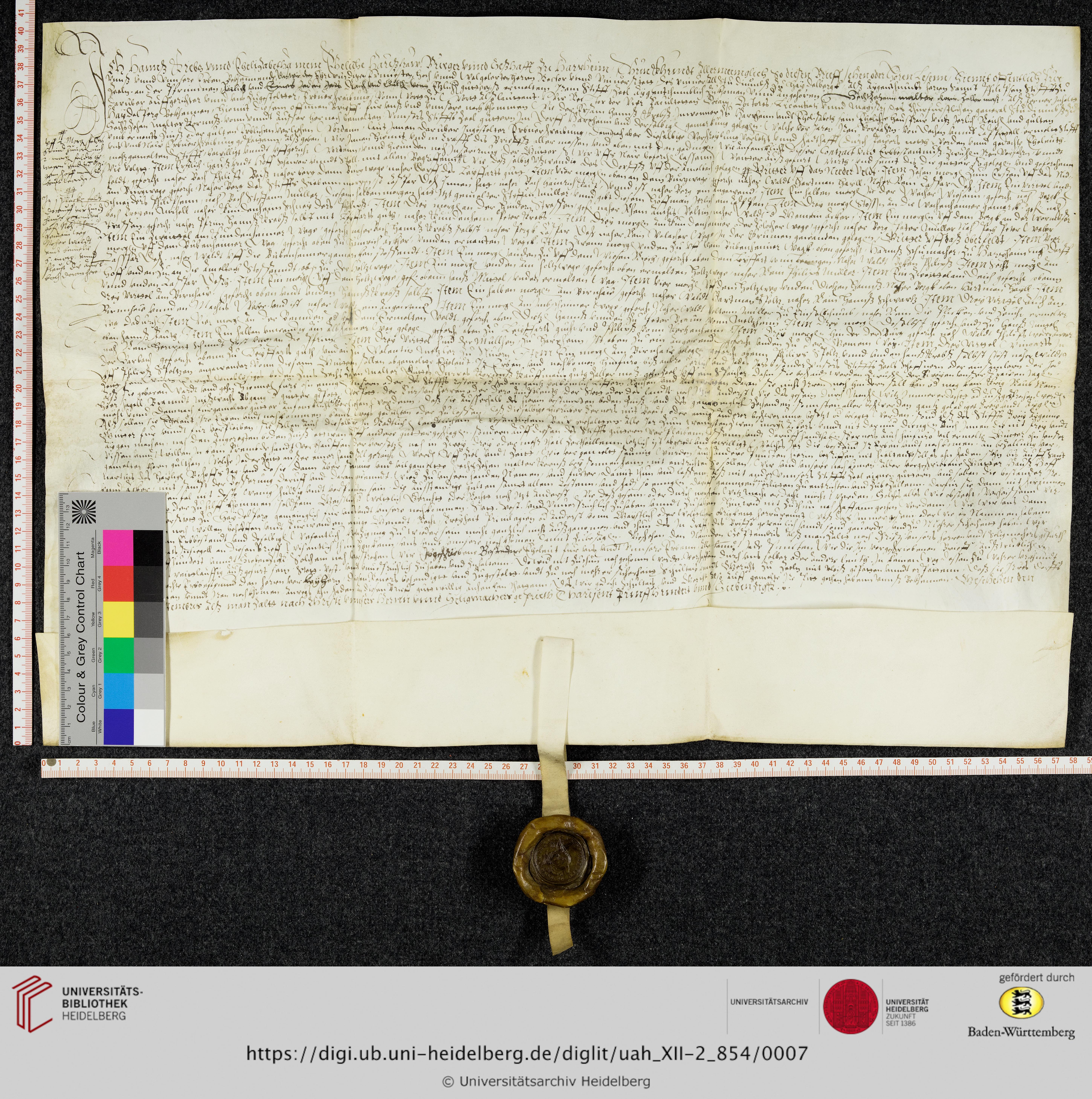 https://digi.ub.uni-heidelberg.de/diglitData/image/uah_XII-2_854/3/uah_xii-2_854_z1.jpg