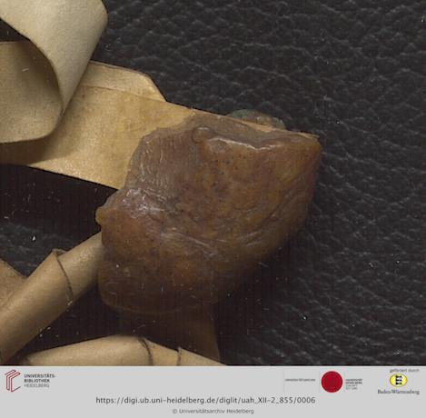 https://digi.ub.uni-heidelberg.de/diglitData/image/uah_XII-2_855/3/uah_xii-2_855_f1.jpg