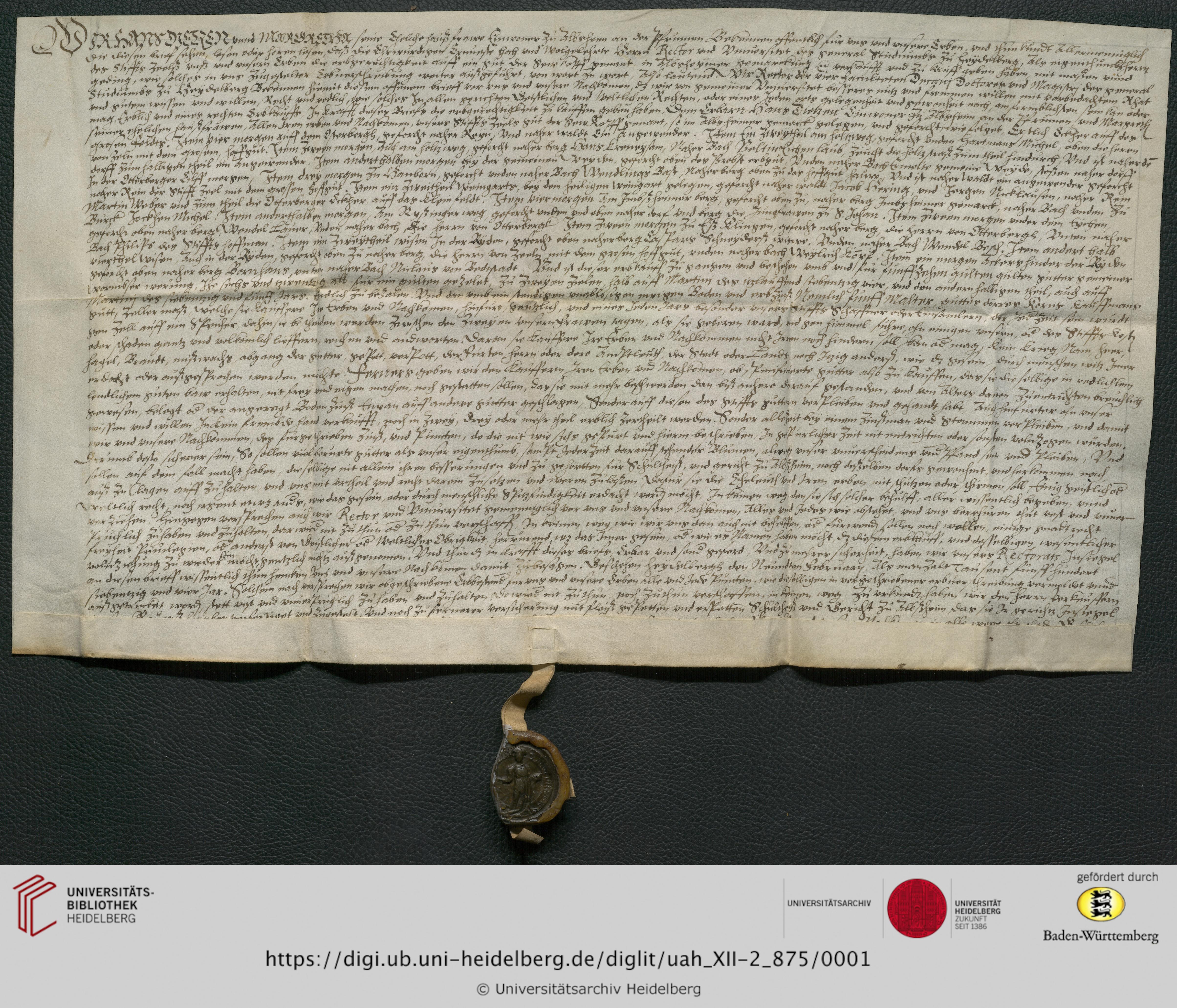 https://digi.ub.uni-heidelberg.de/diglitData/image/uah_XII-2_875/3/uah_xii-2_875_a1.jpg