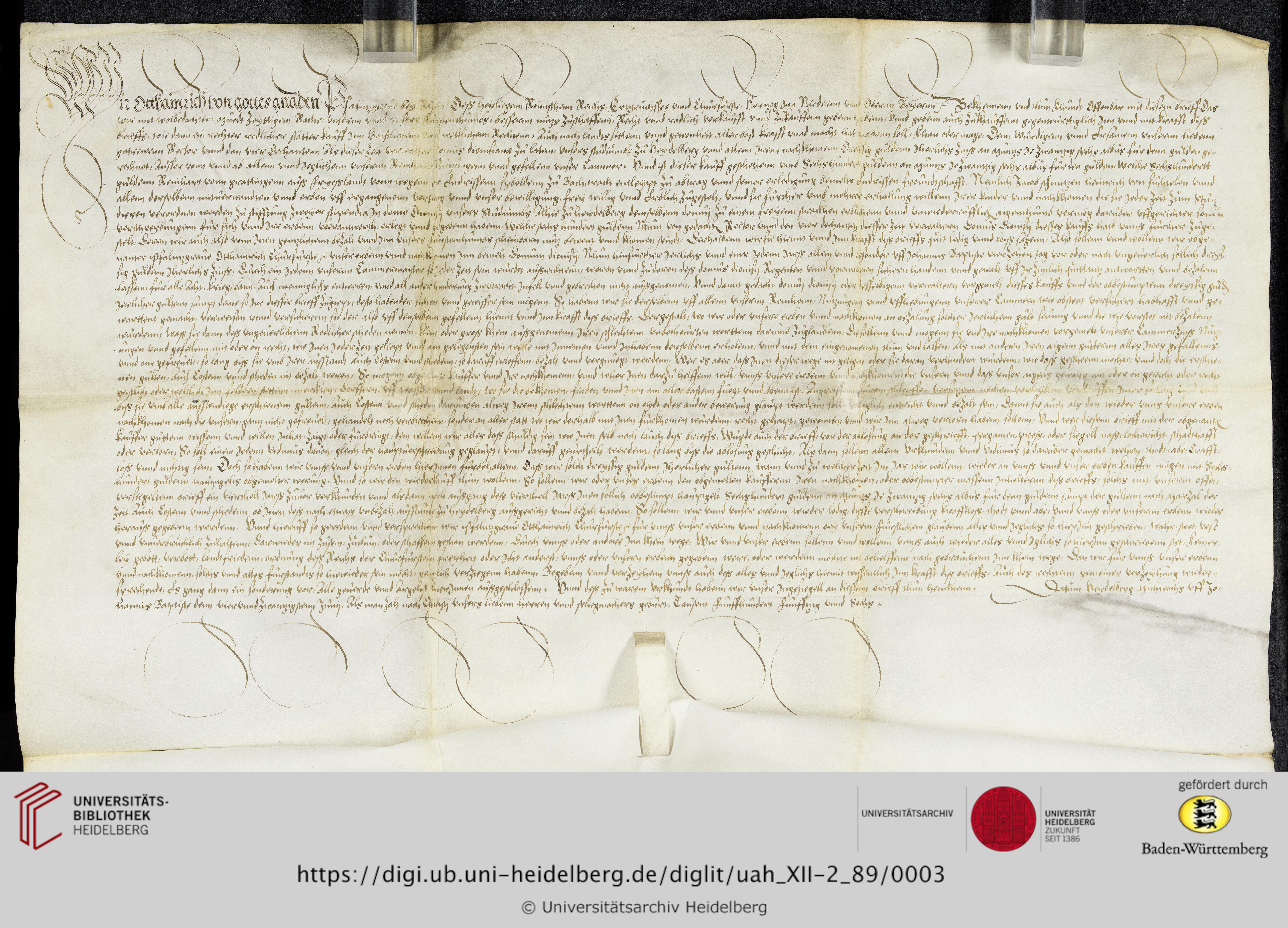 https://digi.ub.uni-heidelberg.de/diglitData/image/uah_XII-2_89/3/uah_xii-2_89_c1.jpg
