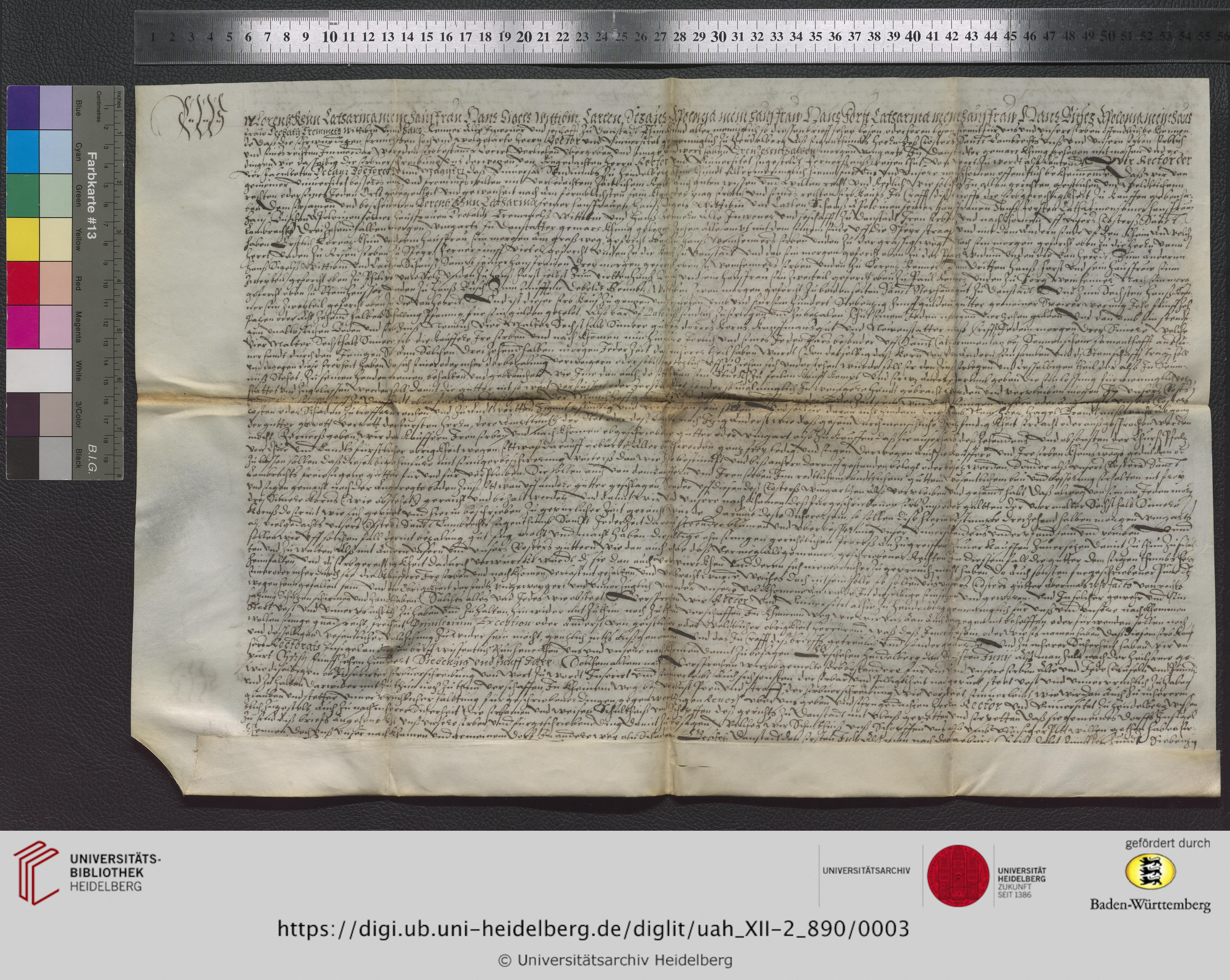 https://digi.ub.uni-heidelberg.de/diglitData/image/uah_XII-2_890/3/uah_xii-2_890_z1.jpg