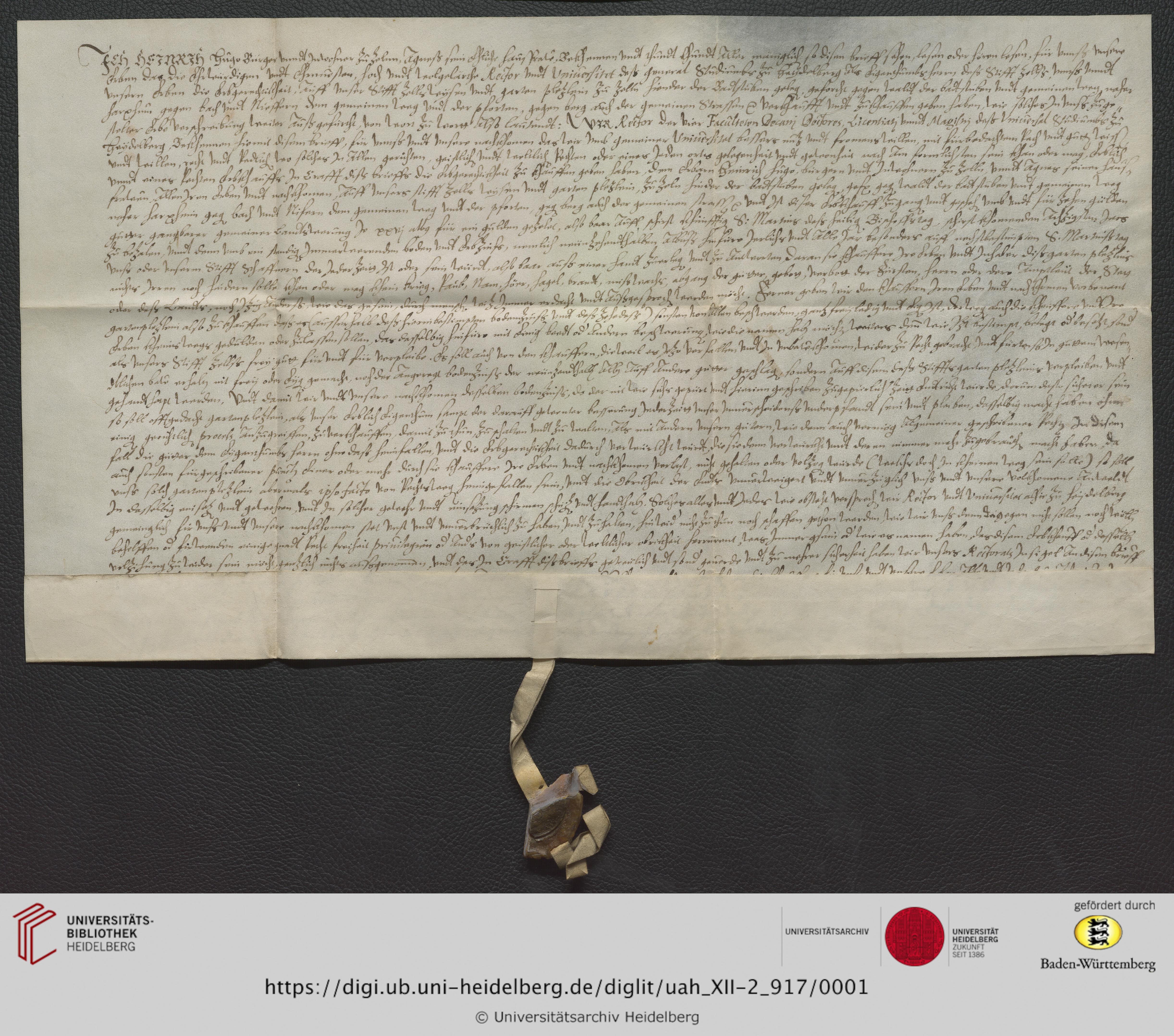 https://digi.ub.uni-heidelberg.de/diglitData/image/uah_XII-2_917/3/uah_xii-2_917_a1.jpg