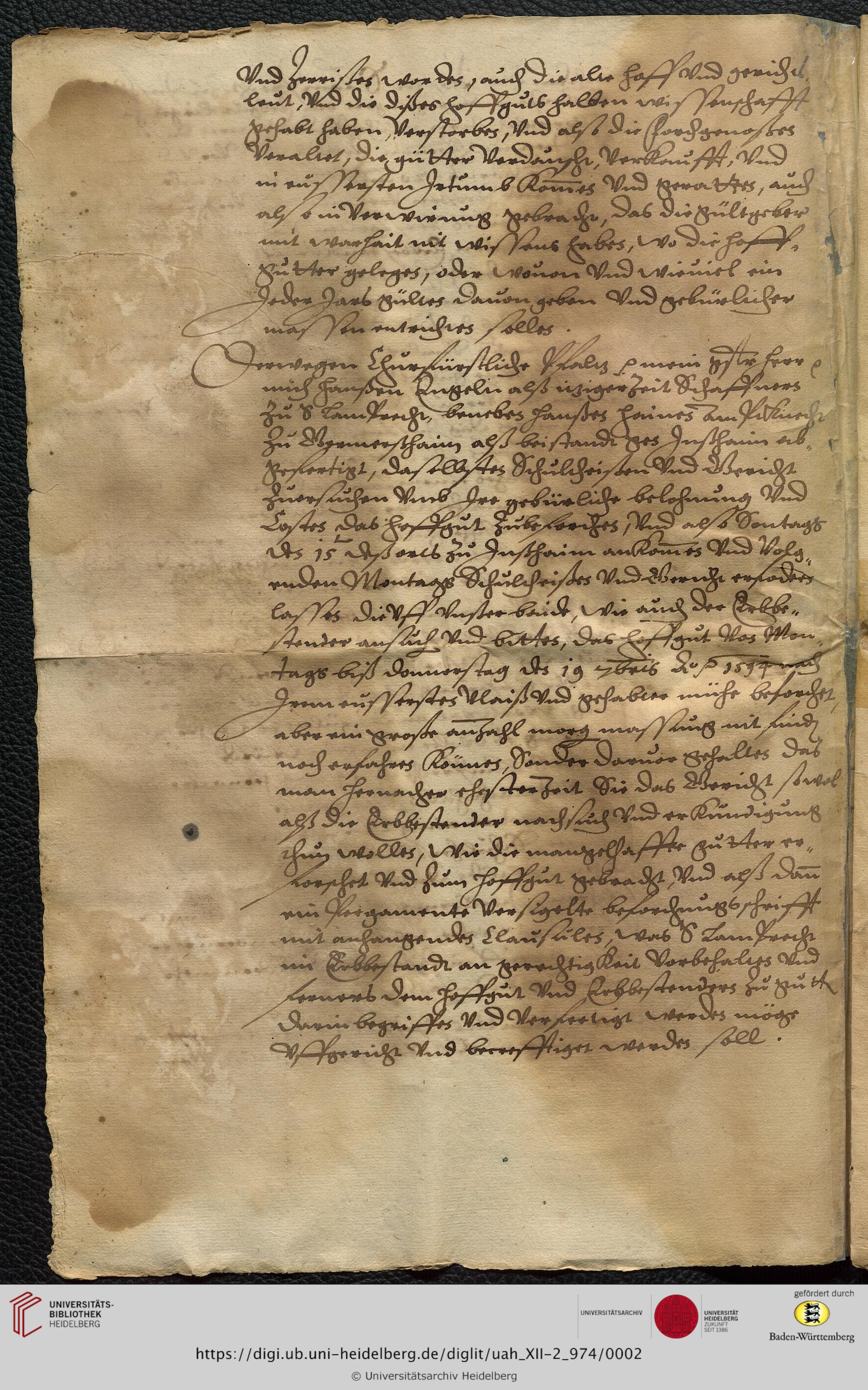 https://digi.ub.uni-heidelberg.de/diglitData/image/uah_XII-2_974/3/uah_xii-2_974_c02.jpg