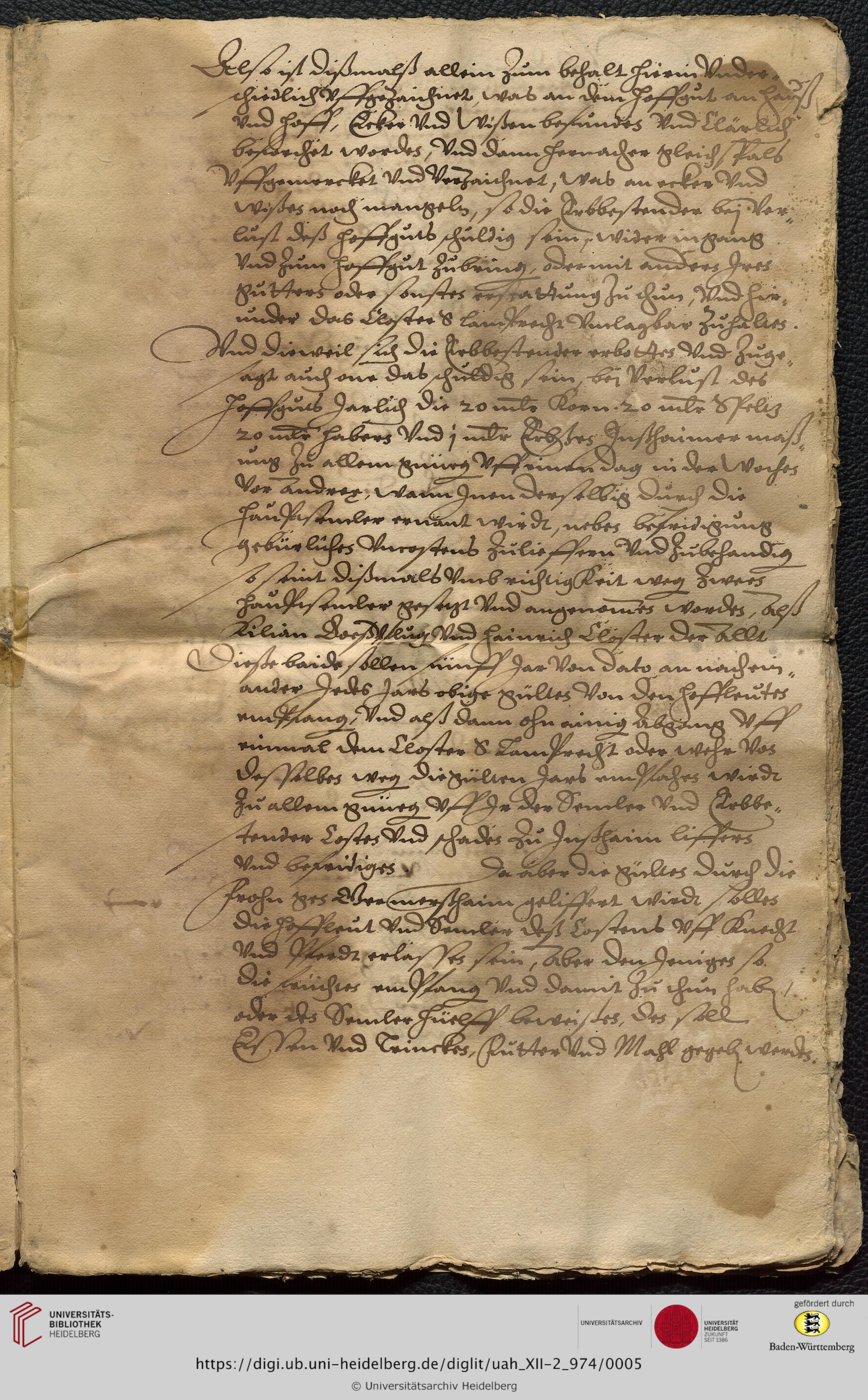 https://digi.ub.uni-heidelberg.de/diglitData/image/uah_XII-2_974/3/uah_xii-2_974_c05.jpg