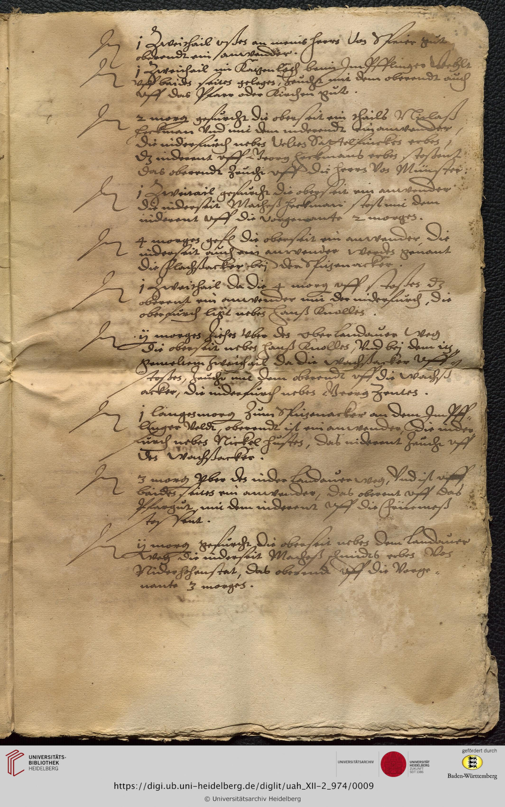https://digi.ub.uni-heidelberg.de/diglitData/image/uah_XII-2_974/3/uah_xii-2_974_c09.jpg