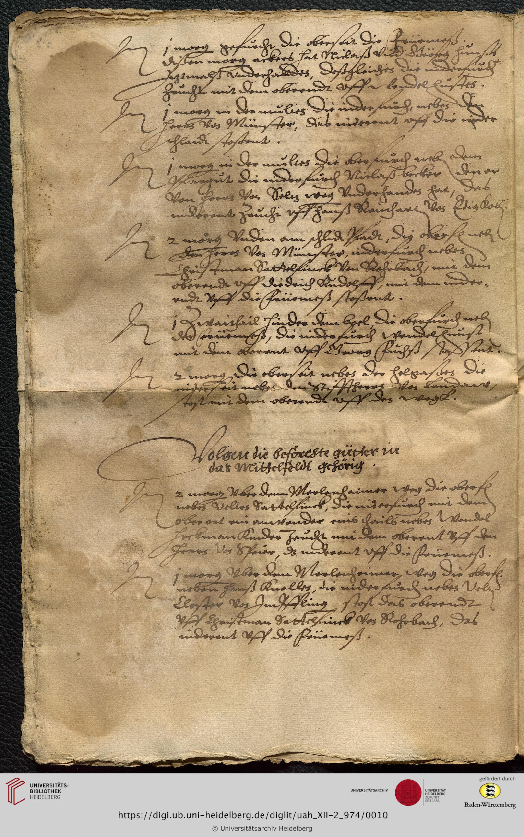 https://digi.ub.uni-heidelberg.de/diglitData/image/uah_XII-2_974/3/uah_xii-2_974_c10.jpg