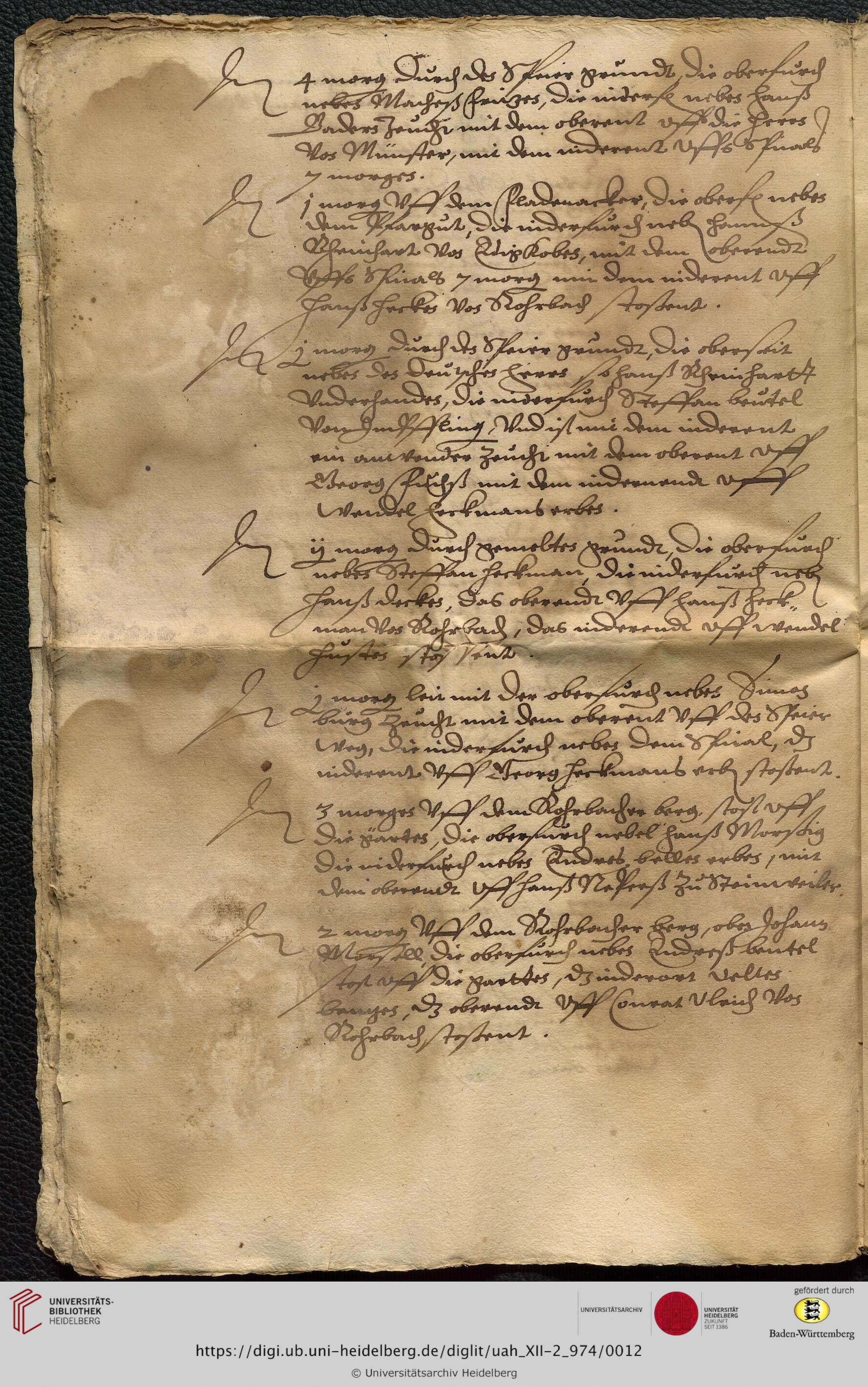 https://digi.ub.uni-heidelberg.de/diglitData/image/uah_XII-2_974/3/uah_xii-2_974_c12.jpg