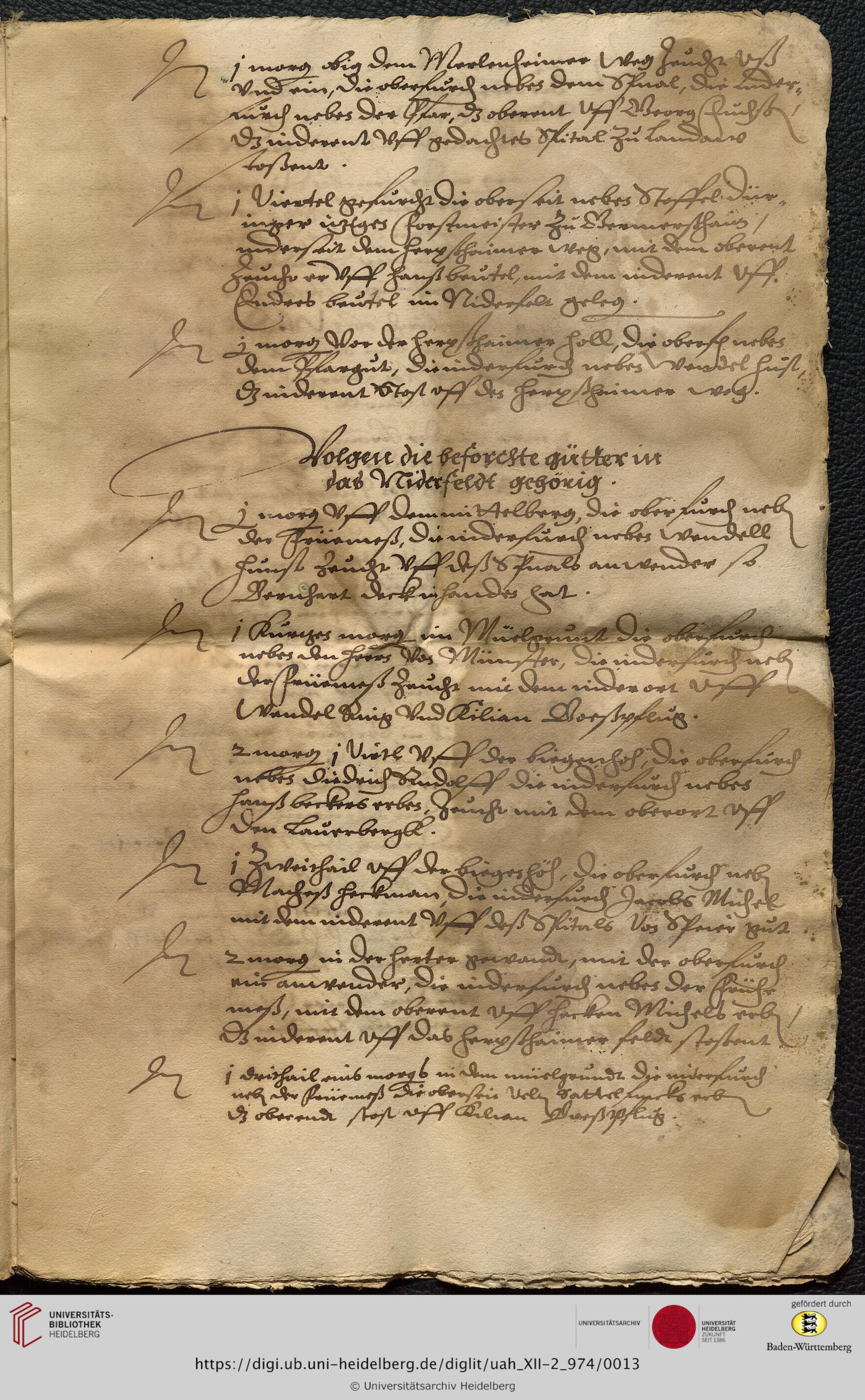 https://digi.ub.uni-heidelberg.de/diglitData/image/uah_XII-2_974/3/uah_xii-2_974_c13.jpg
