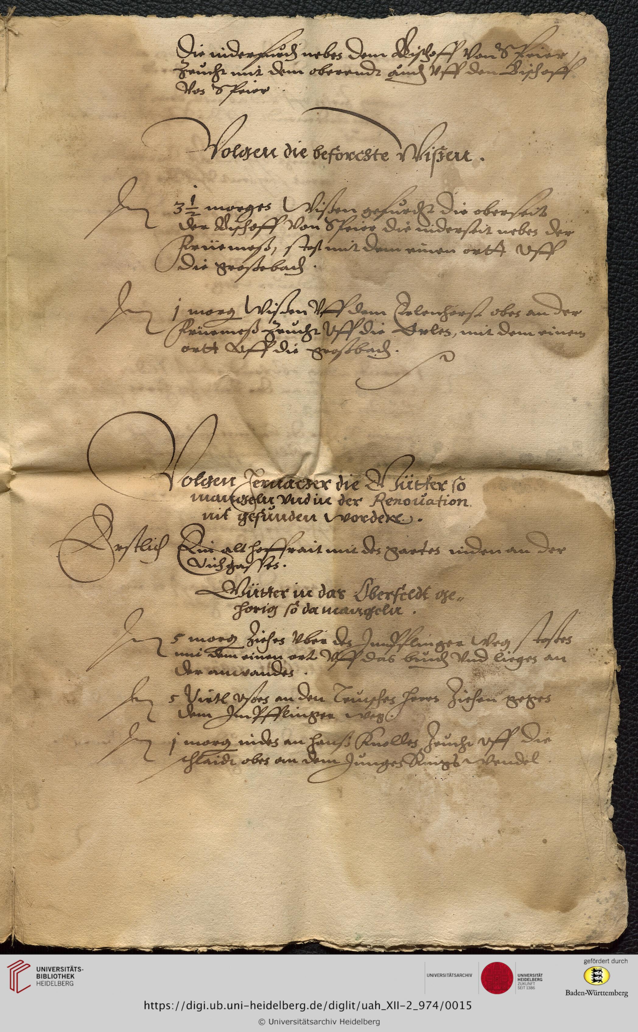 https://digi.ub.uni-heidelberg.de/diglitData/image/uah_XII-2_974/3/uah_xii-2_974_c15.jpg