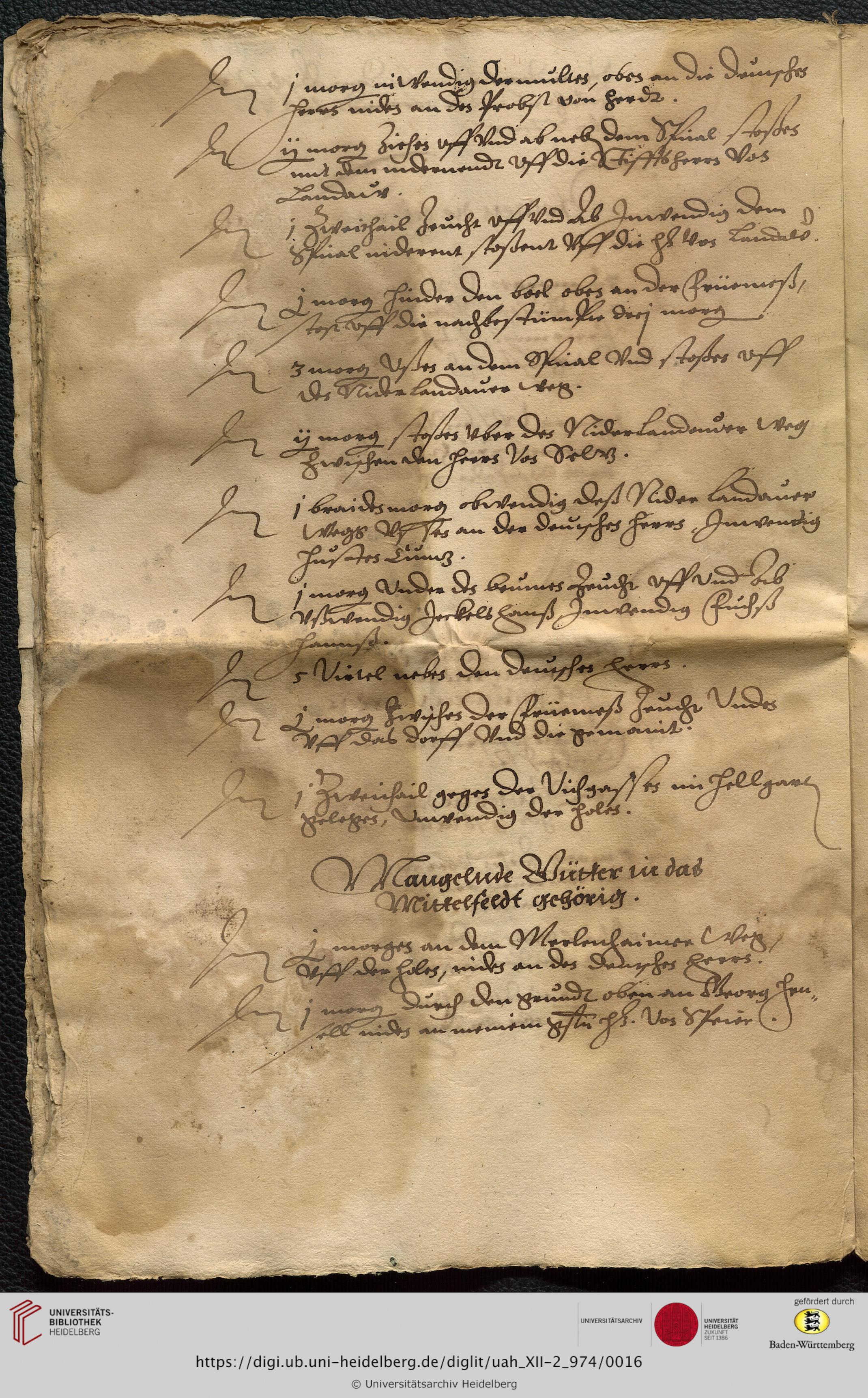 https://digi.ub.uni-heidelberg.de/diglitData/image/uah_XII-2_974/3/uah_xii-2_974_c16.jpg