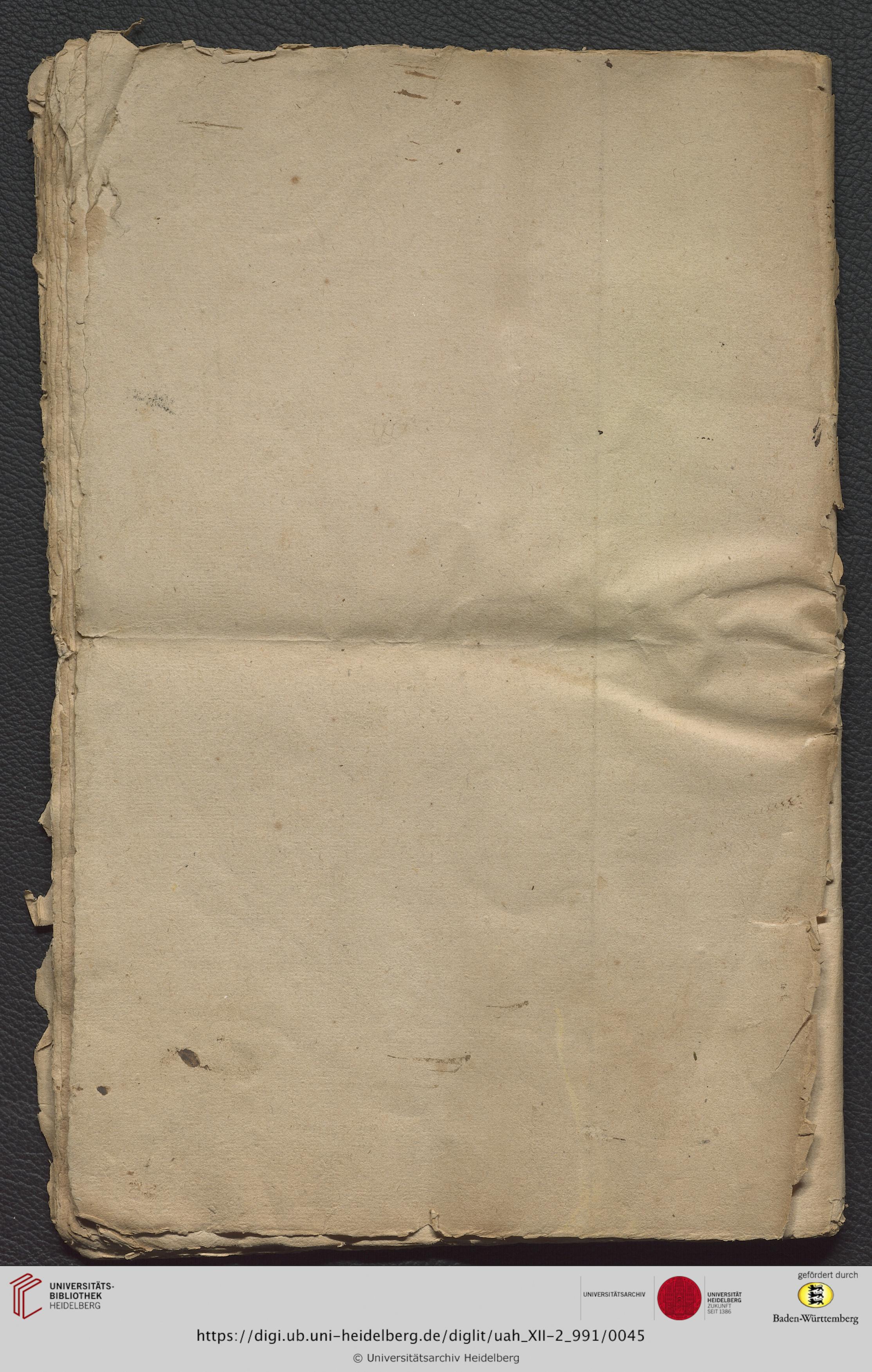 https://digi.ub.uni-heidelberg.de/diglitData/image/uah_XII-2_991/3/uah_xii-2_991_d1.jpg