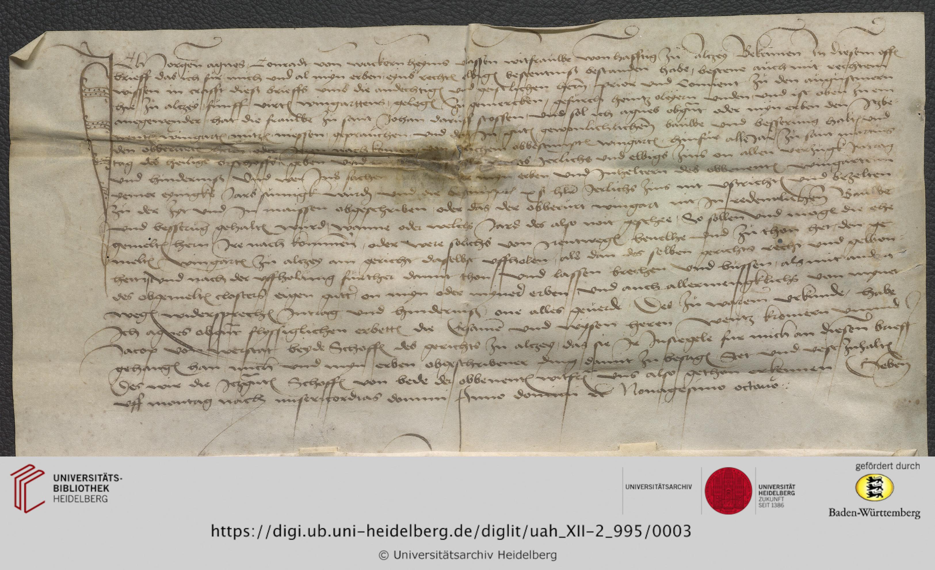 https://digi.ub.uni-heidelberg.de/diglitData/image/uah_XII-2_995/3/uah_xii-2_995_c1.jpg