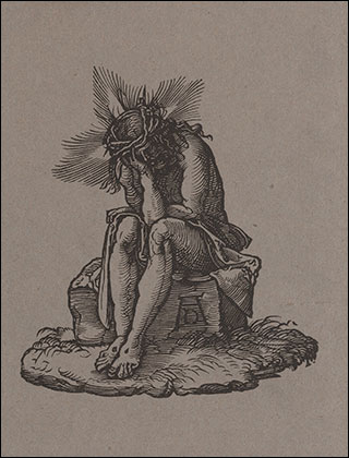 Introimage