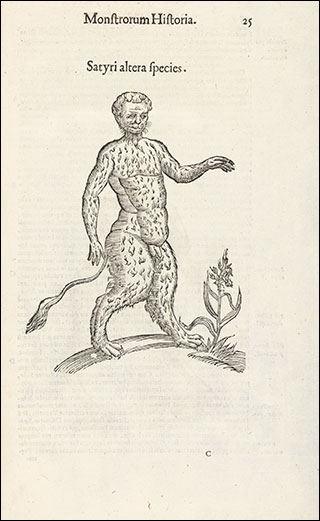 Introimage