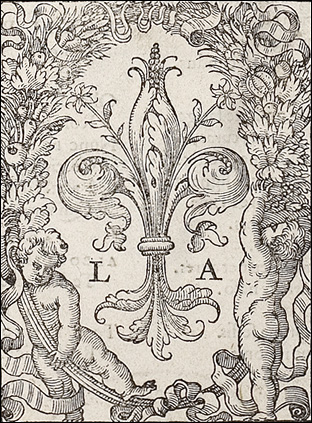 Introimage