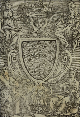 Introimage