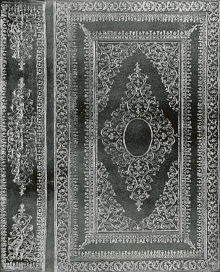 Introimage