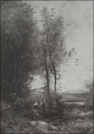 Introimage