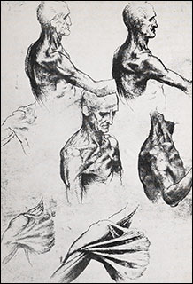 Introimage